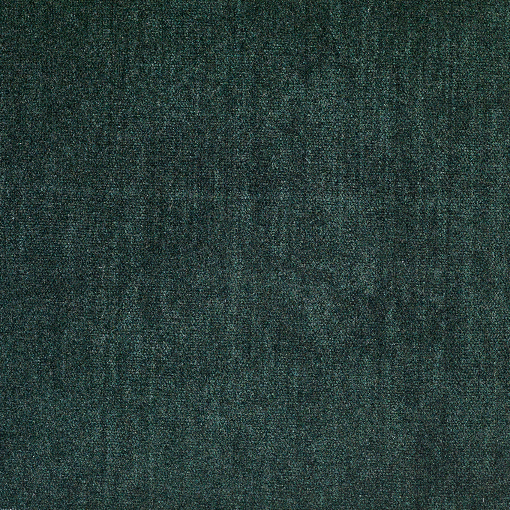 Soft - Image 5