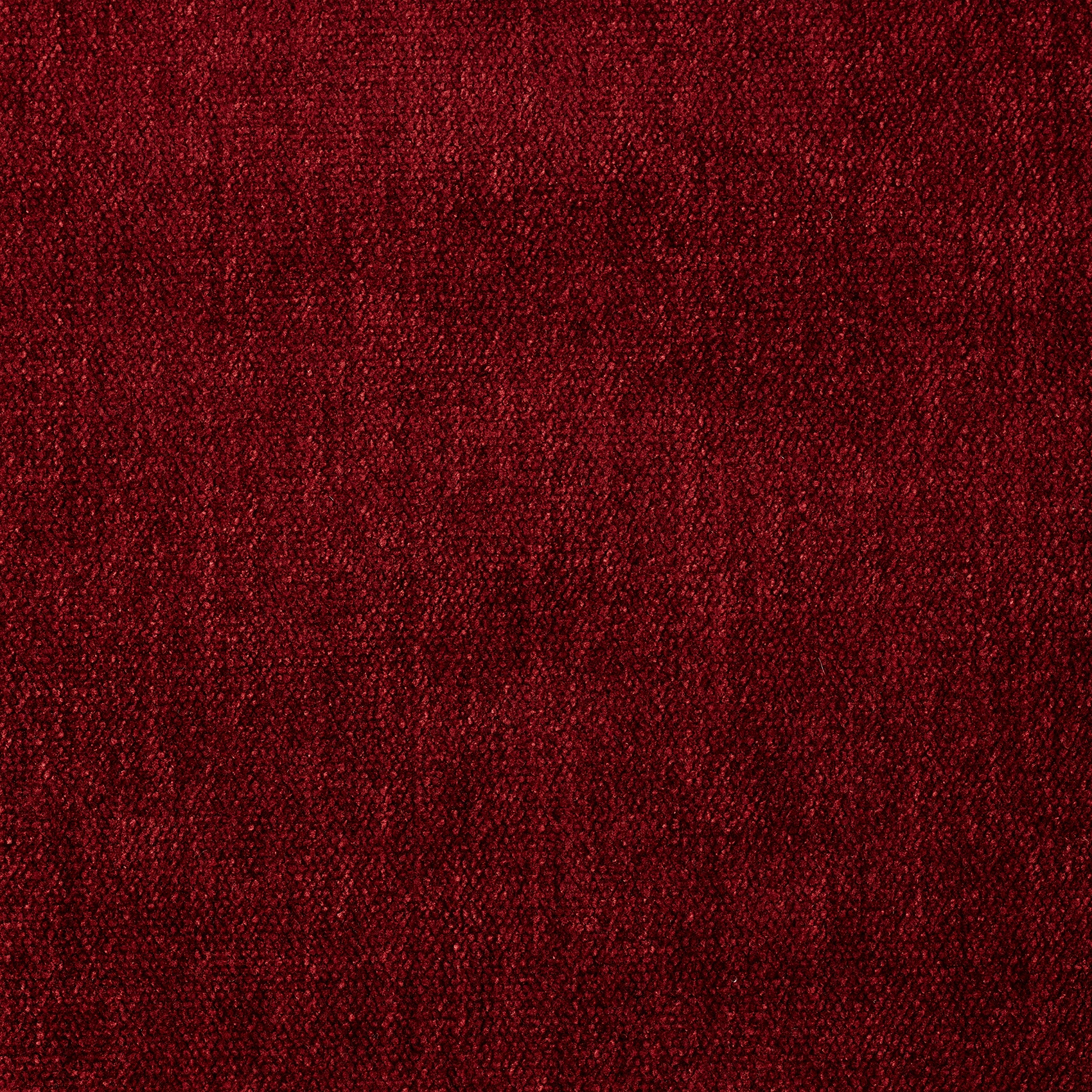 Soft - Image 6