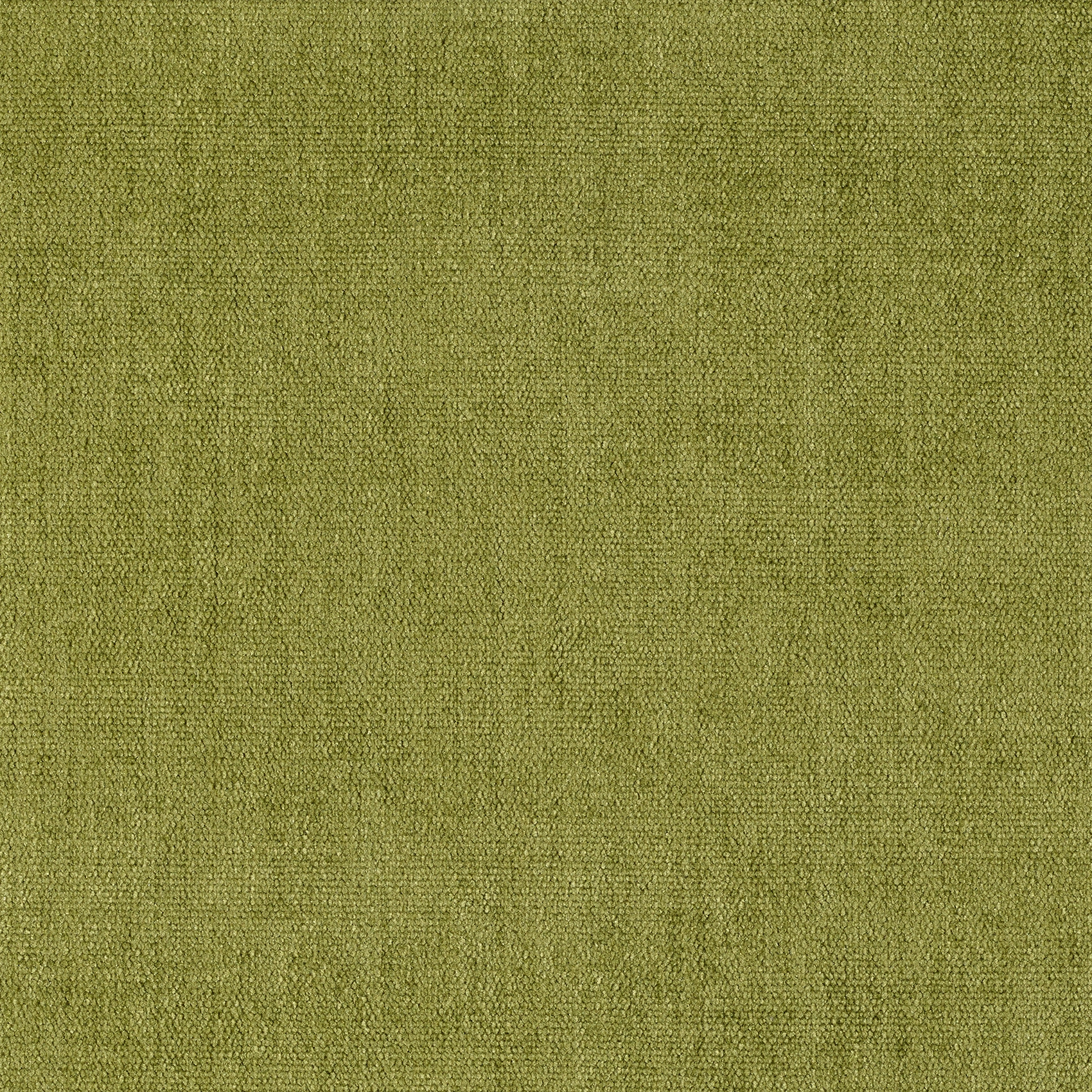 Soft - Image 11