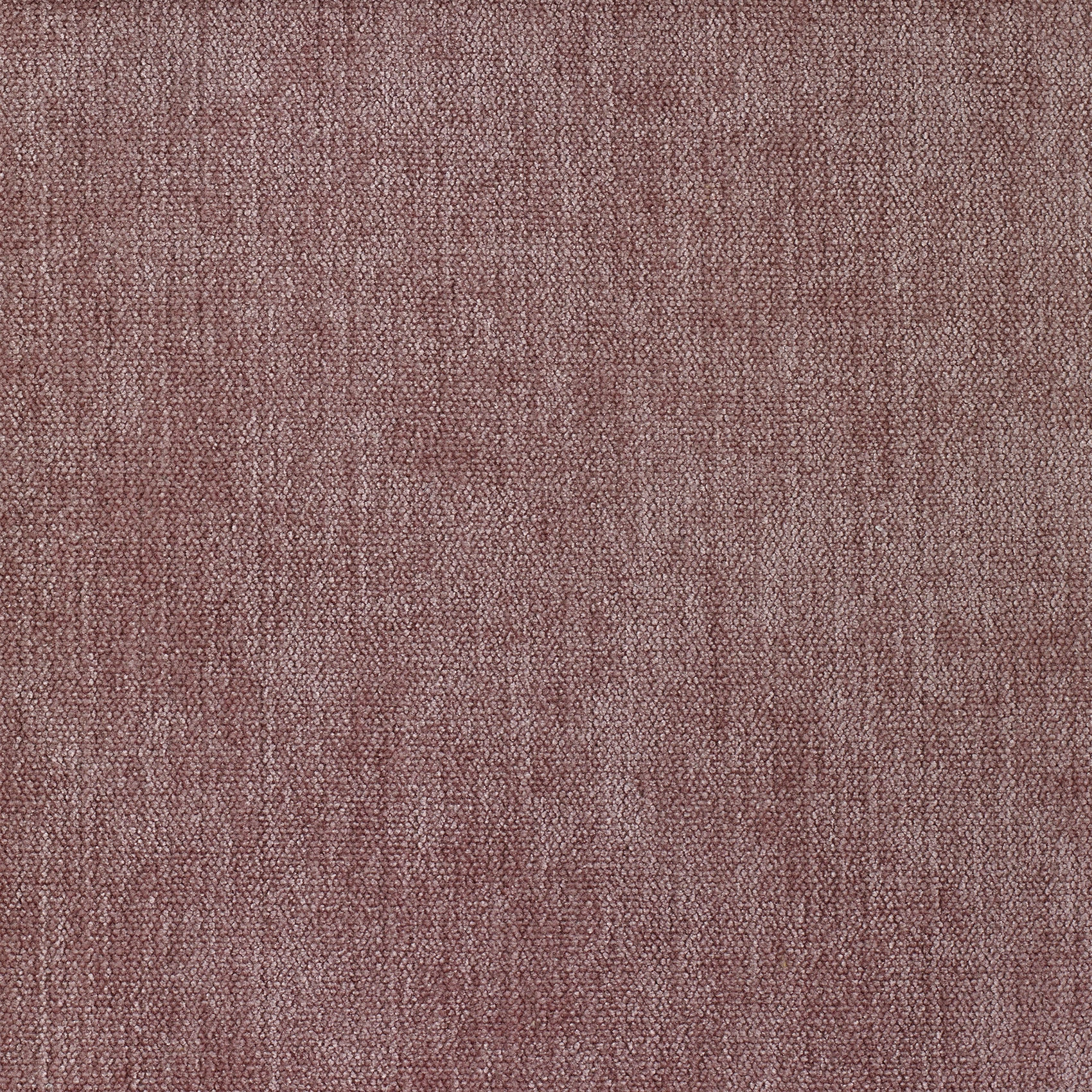 Soft - Image 13
