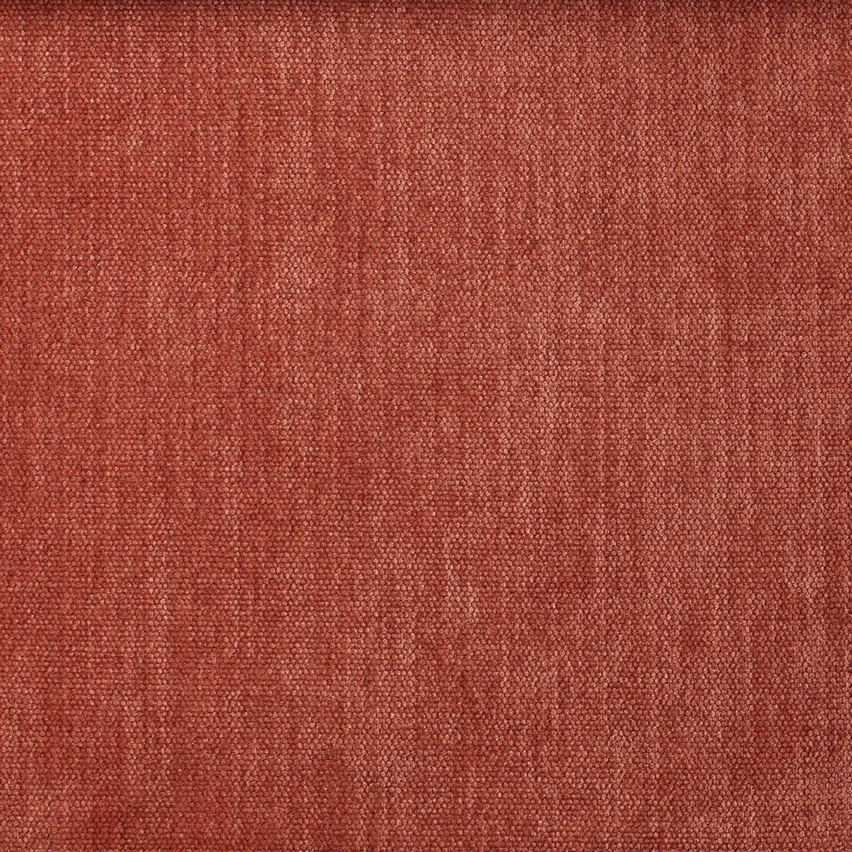 Soft - Image 14