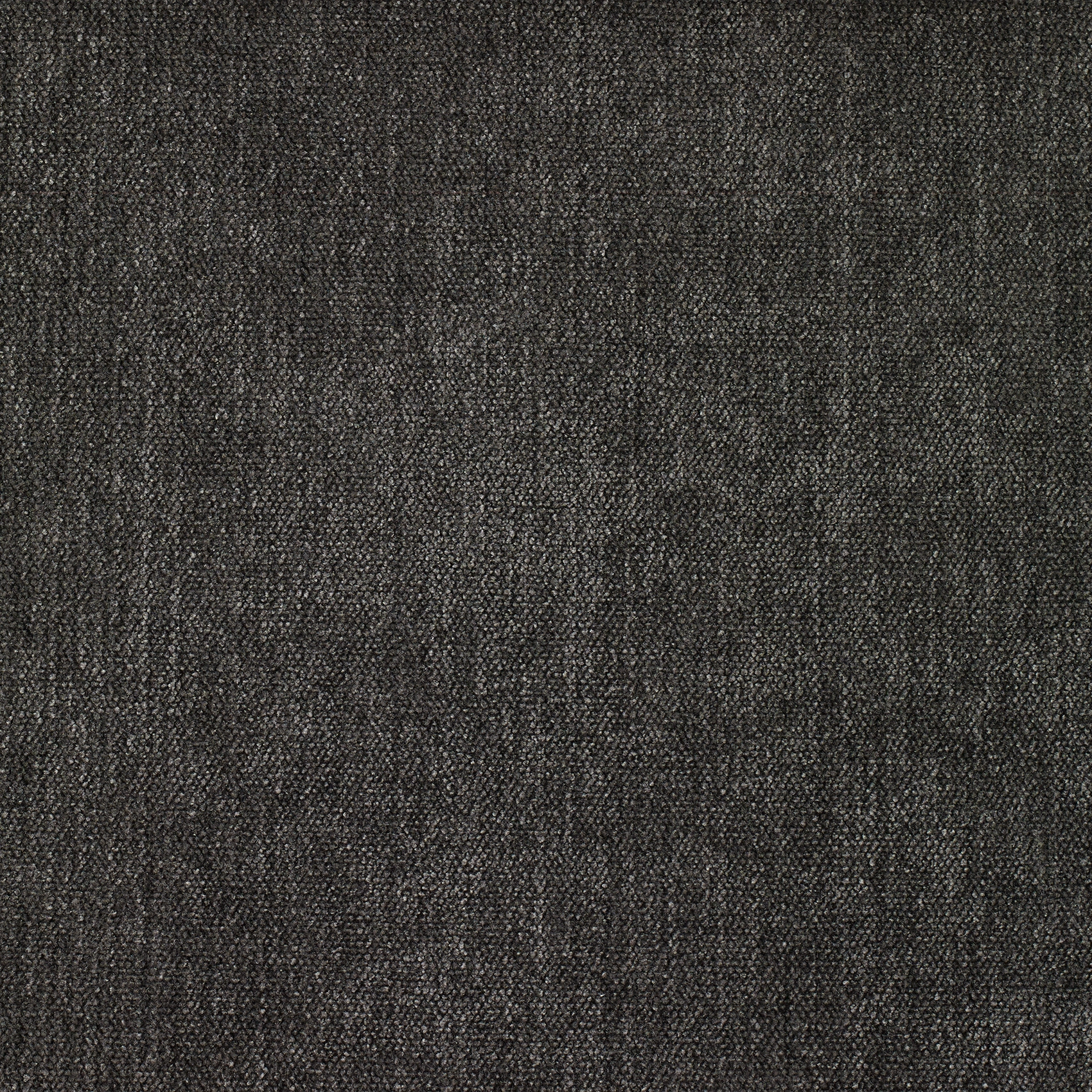 Soft - Image 18