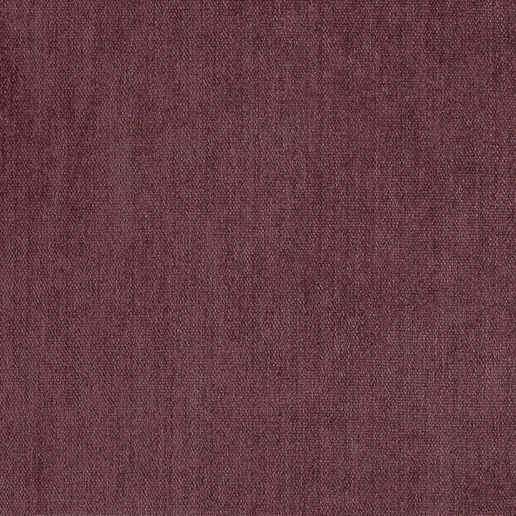 Soft - Image 19
