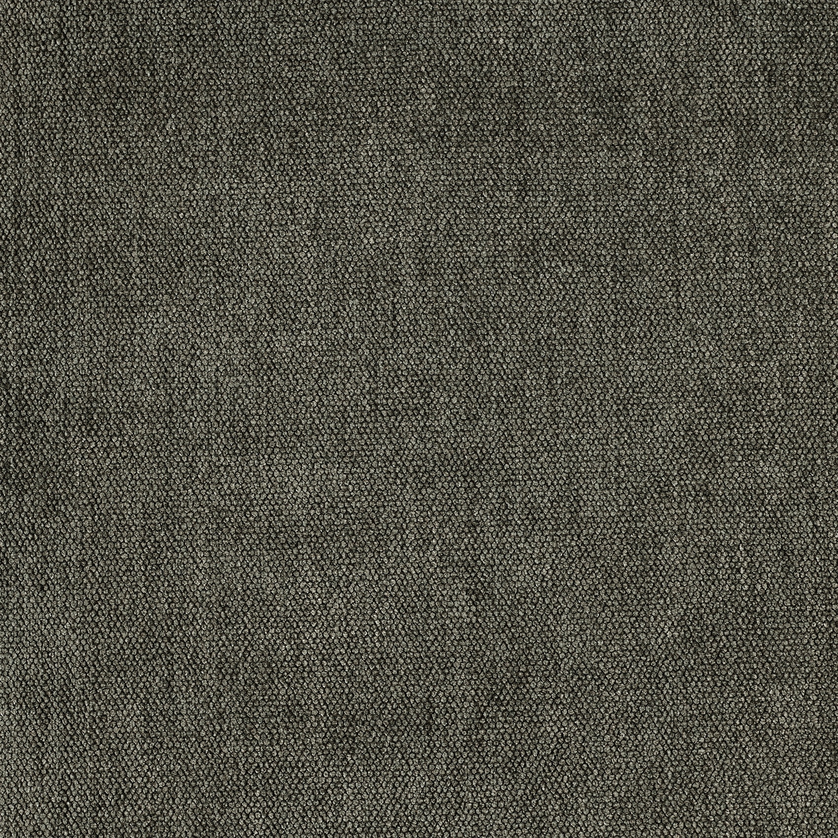Soft - Image 21