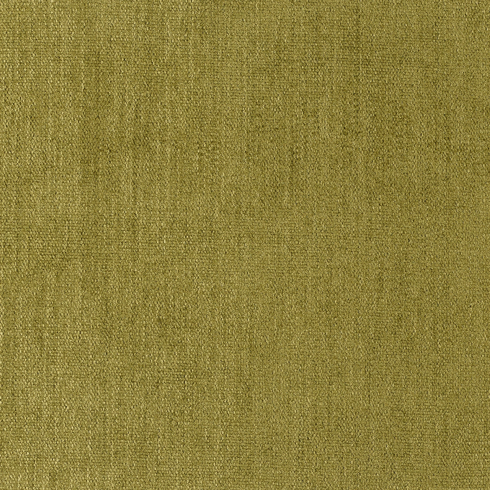 Soft - Image 23