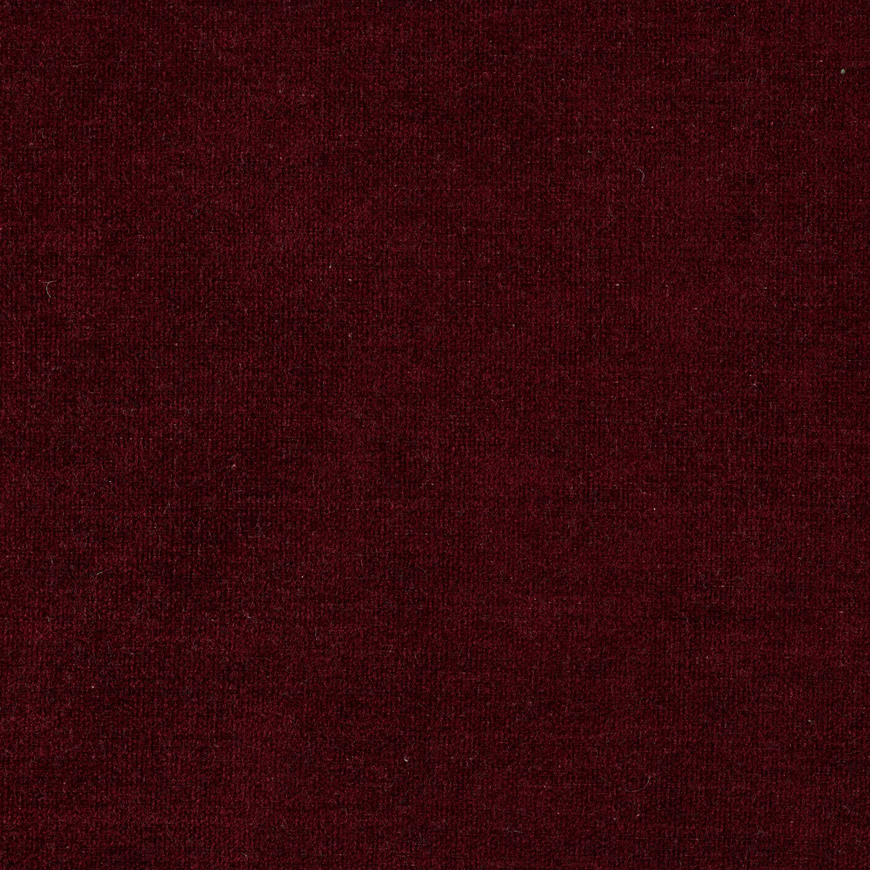 Soft - Image 27