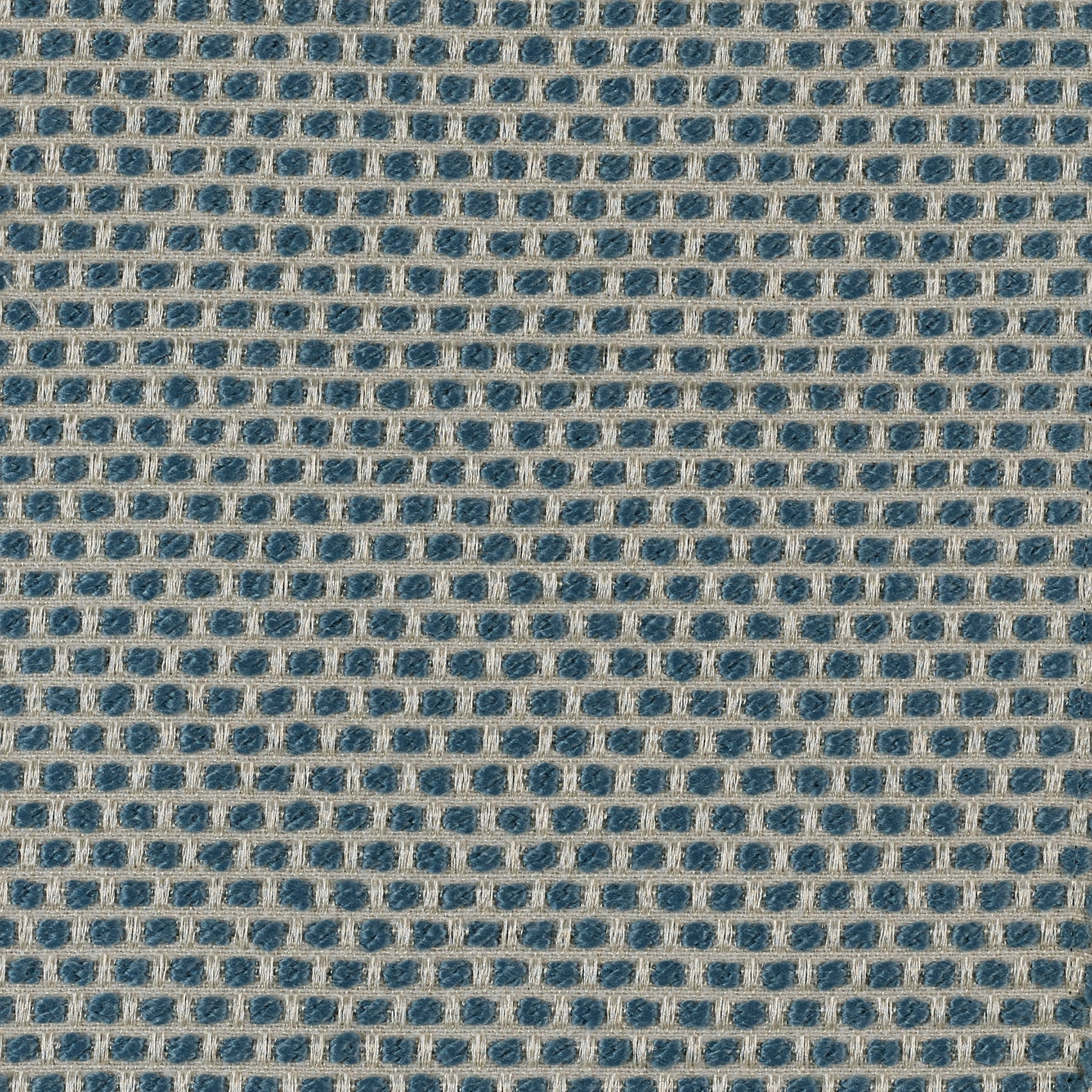 Spotty - Image 3