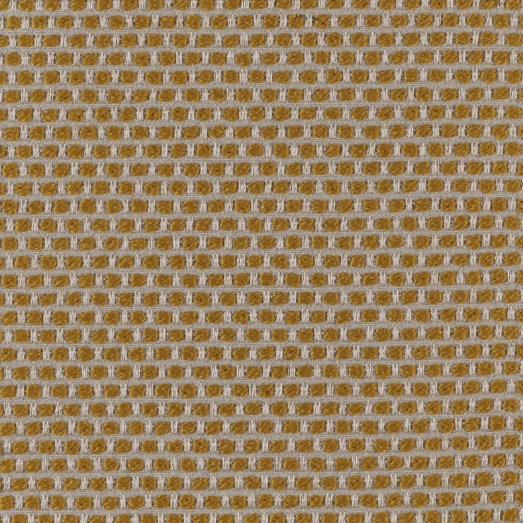 Spotty - Image 5