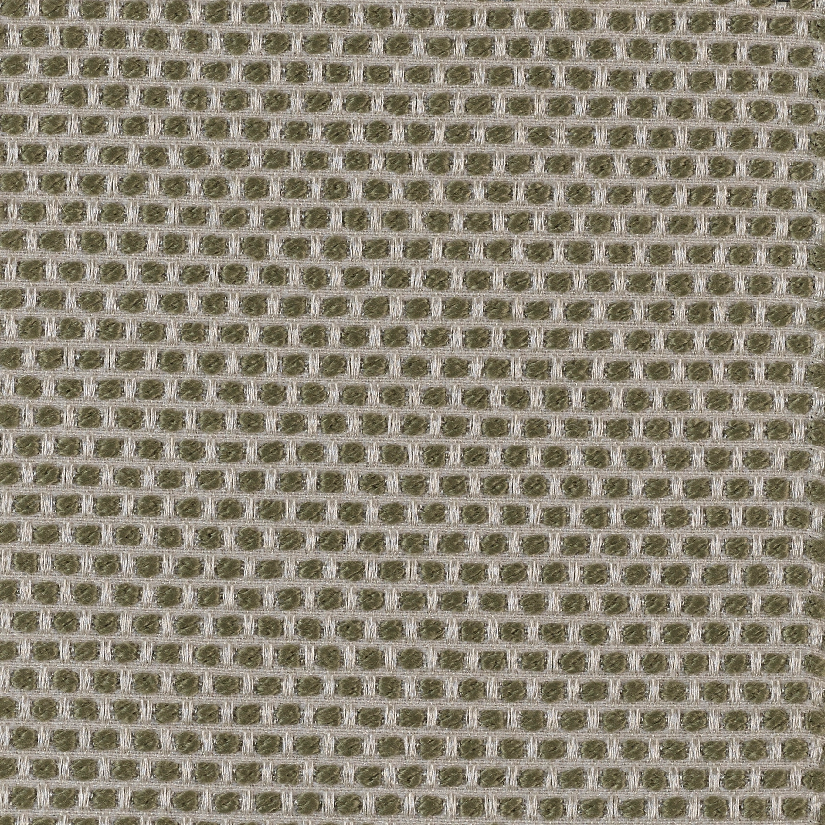 Spotty - Image 6