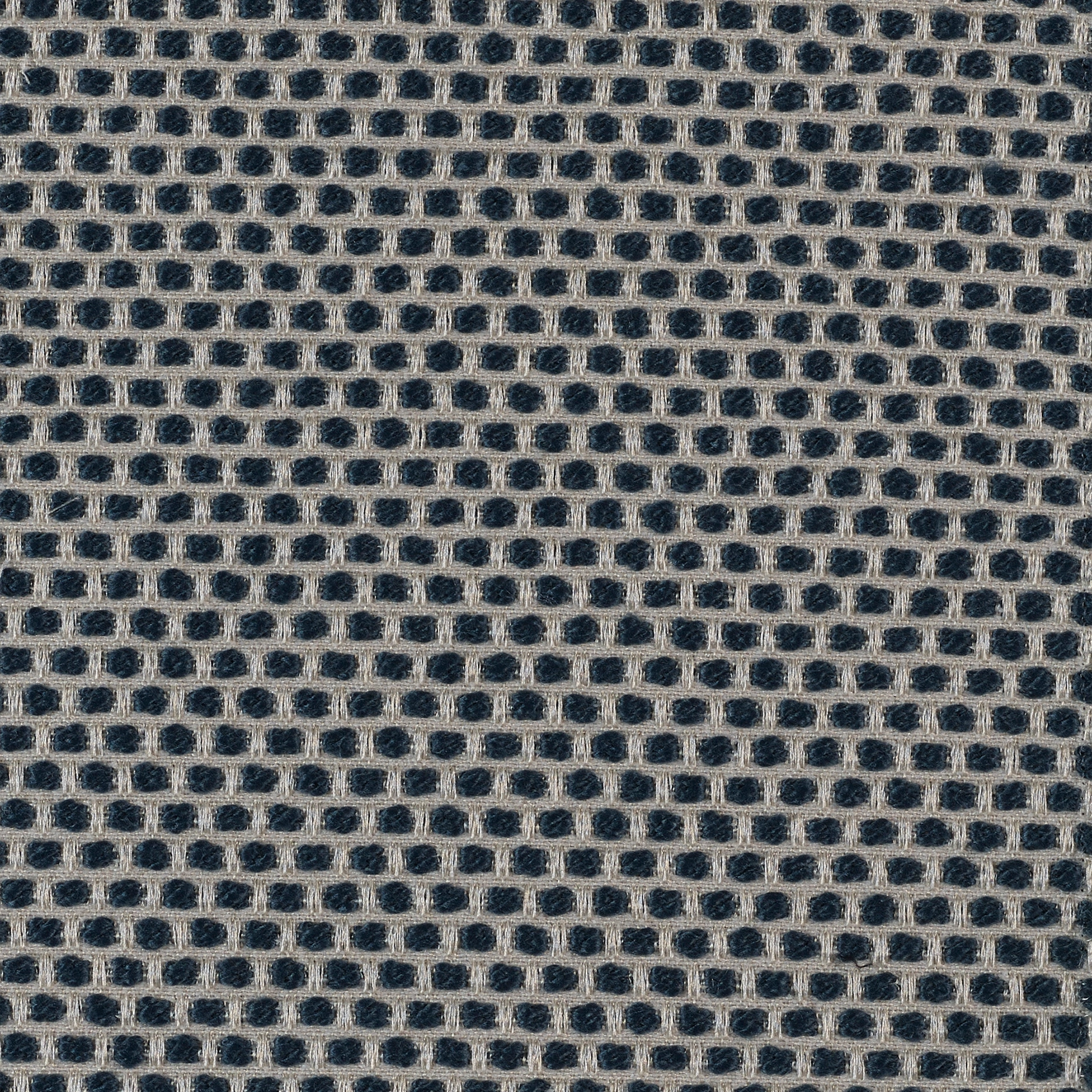 Spotty - Image 7