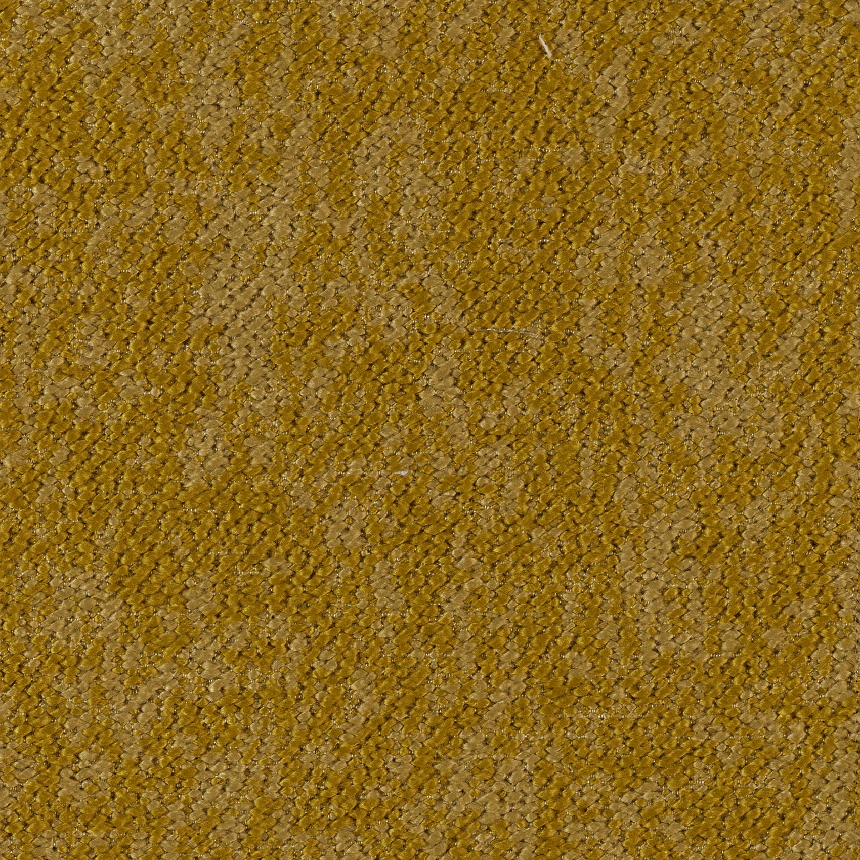 Woody - Image 6