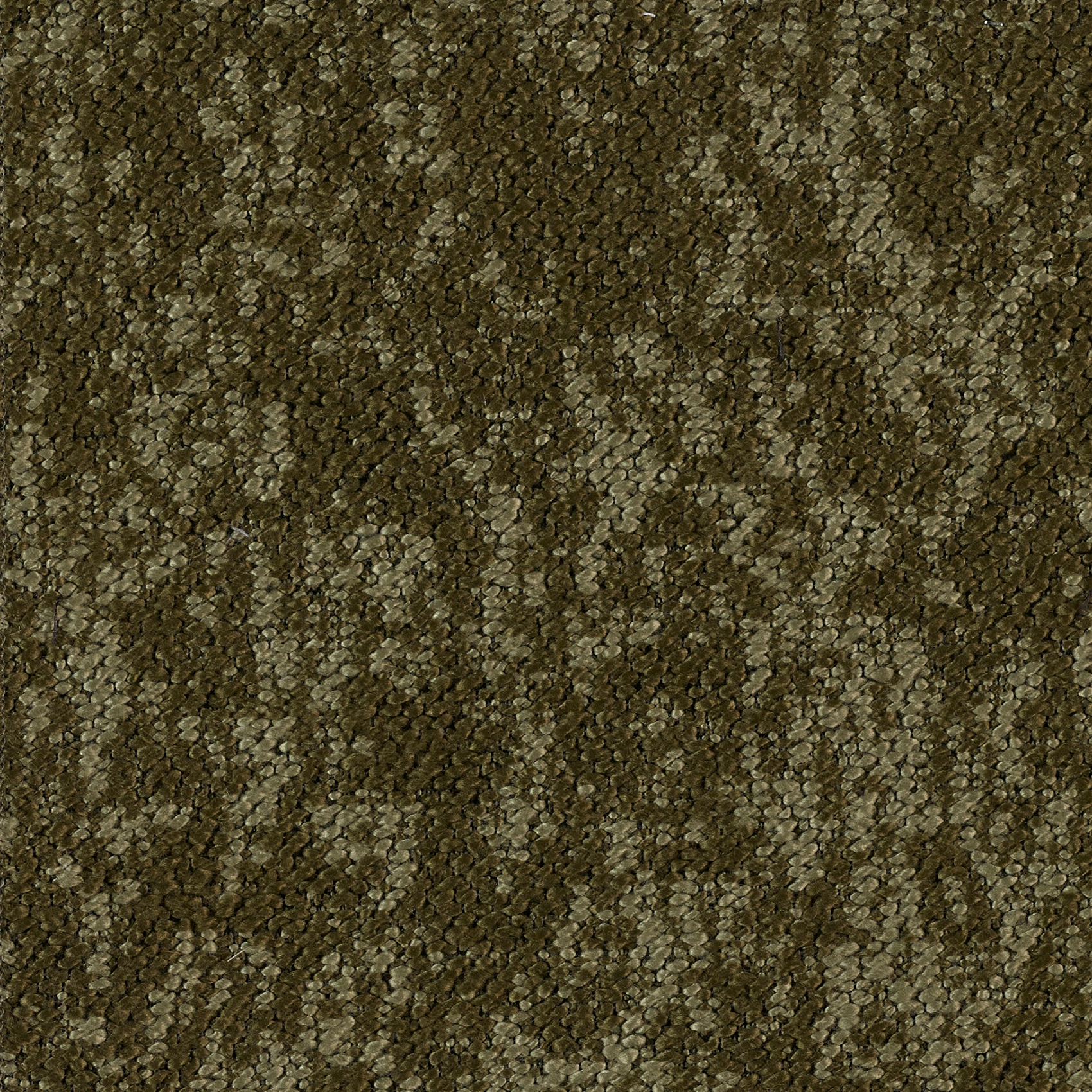 Woody - Image 7