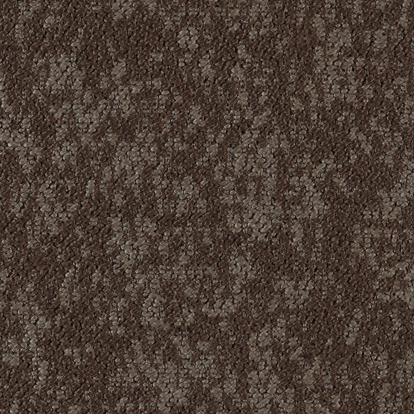 Woody - Image 9