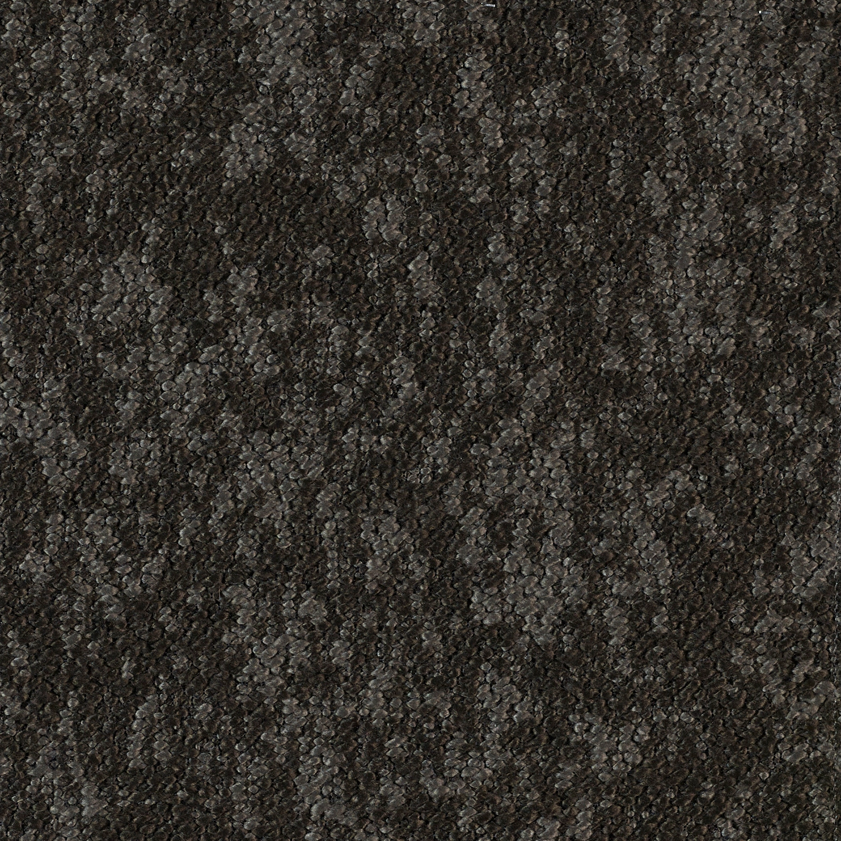 Woody - Image 11