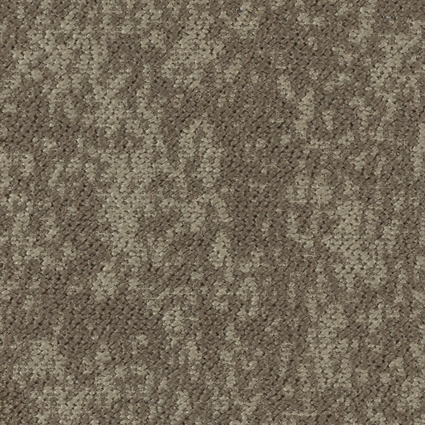Woody - Image 12