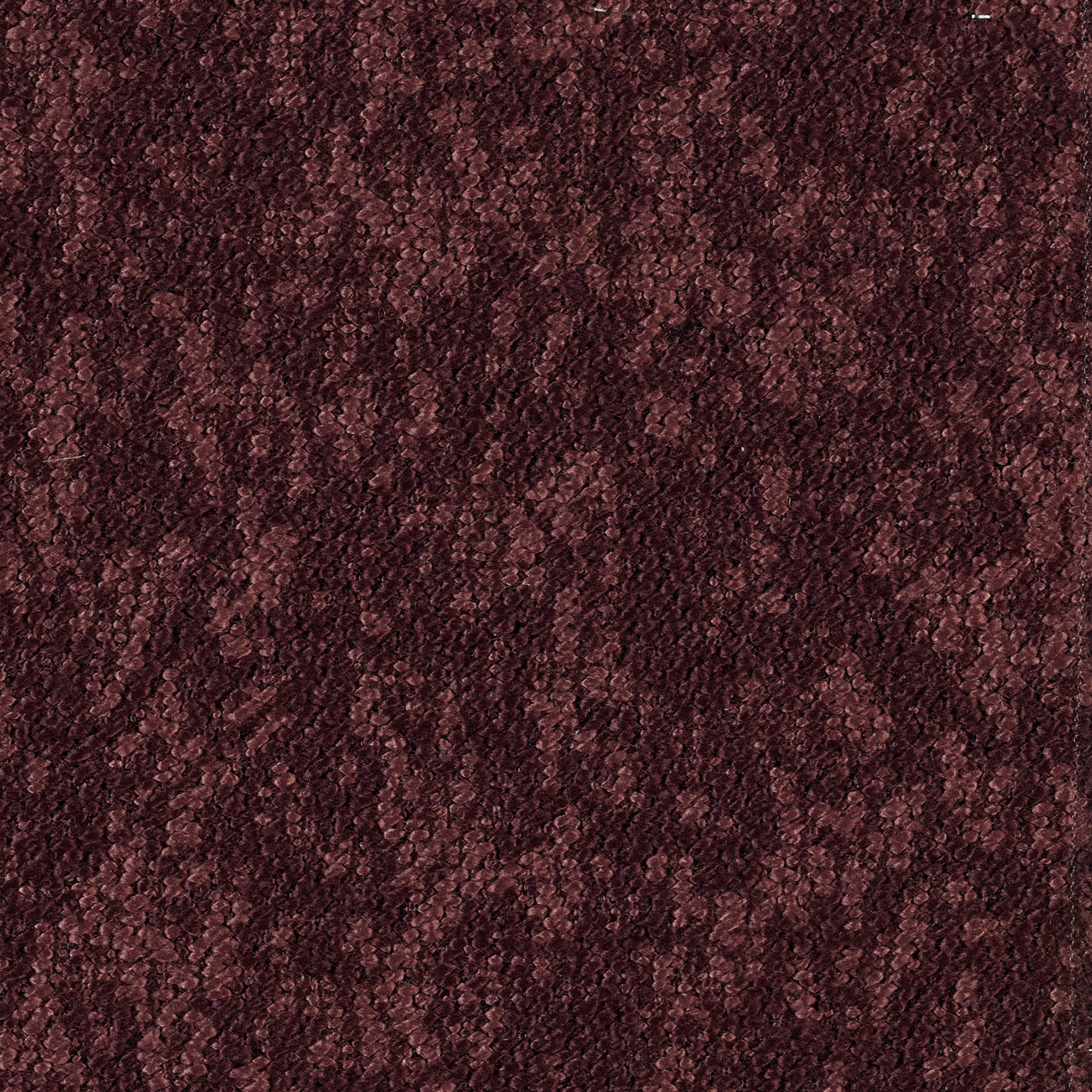 Woody - Image 13