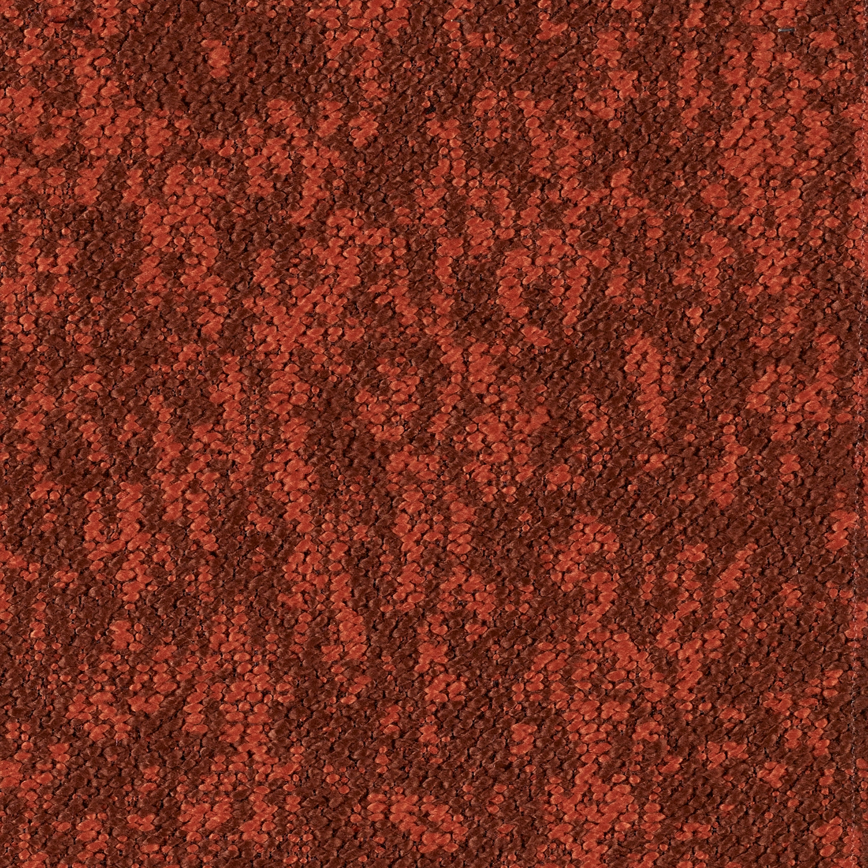 Woody - Image 14