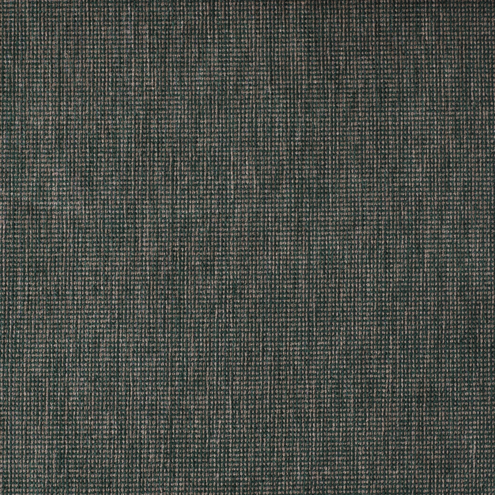 Tangent - Image 4