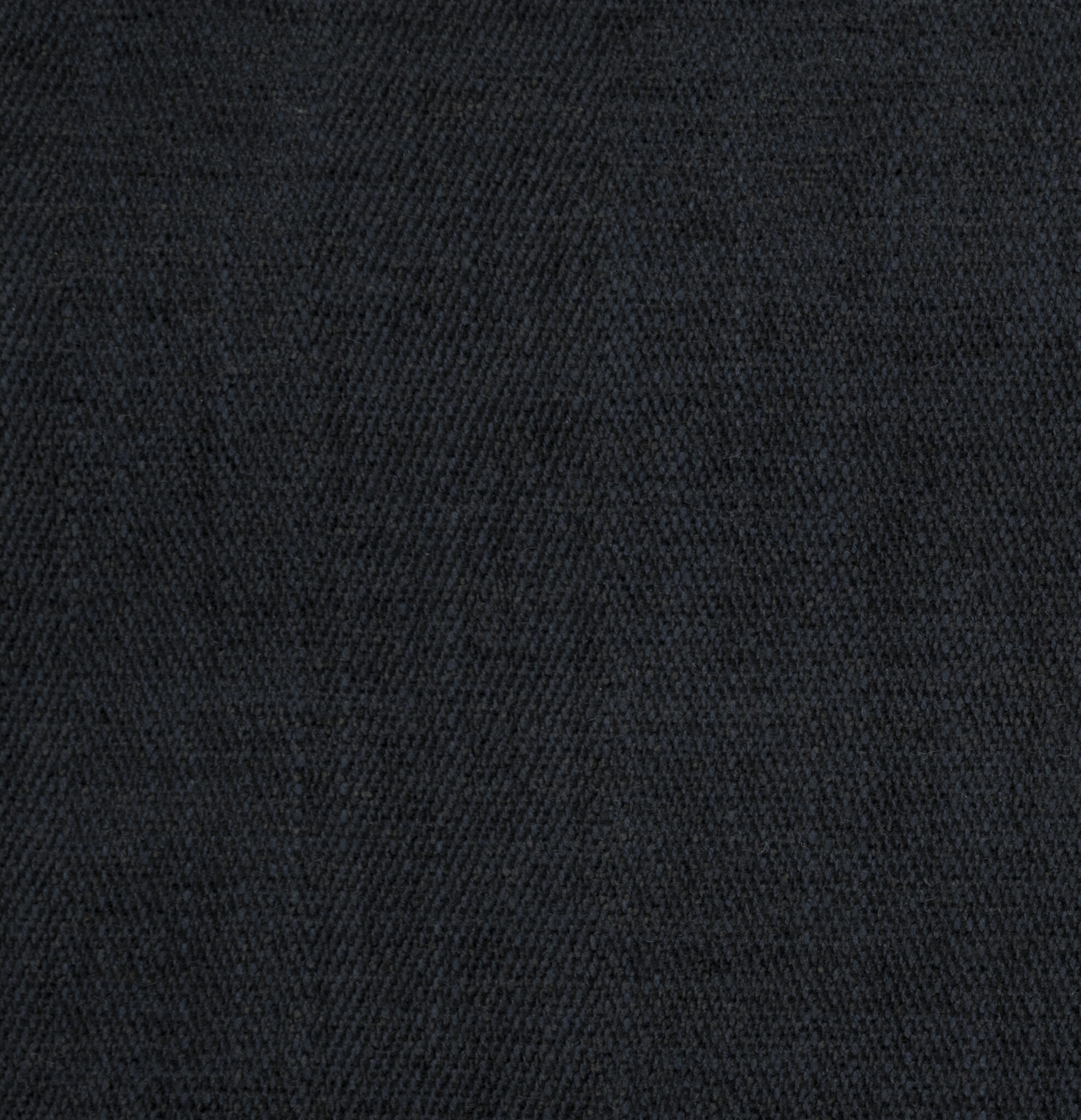 Herring - Image 3