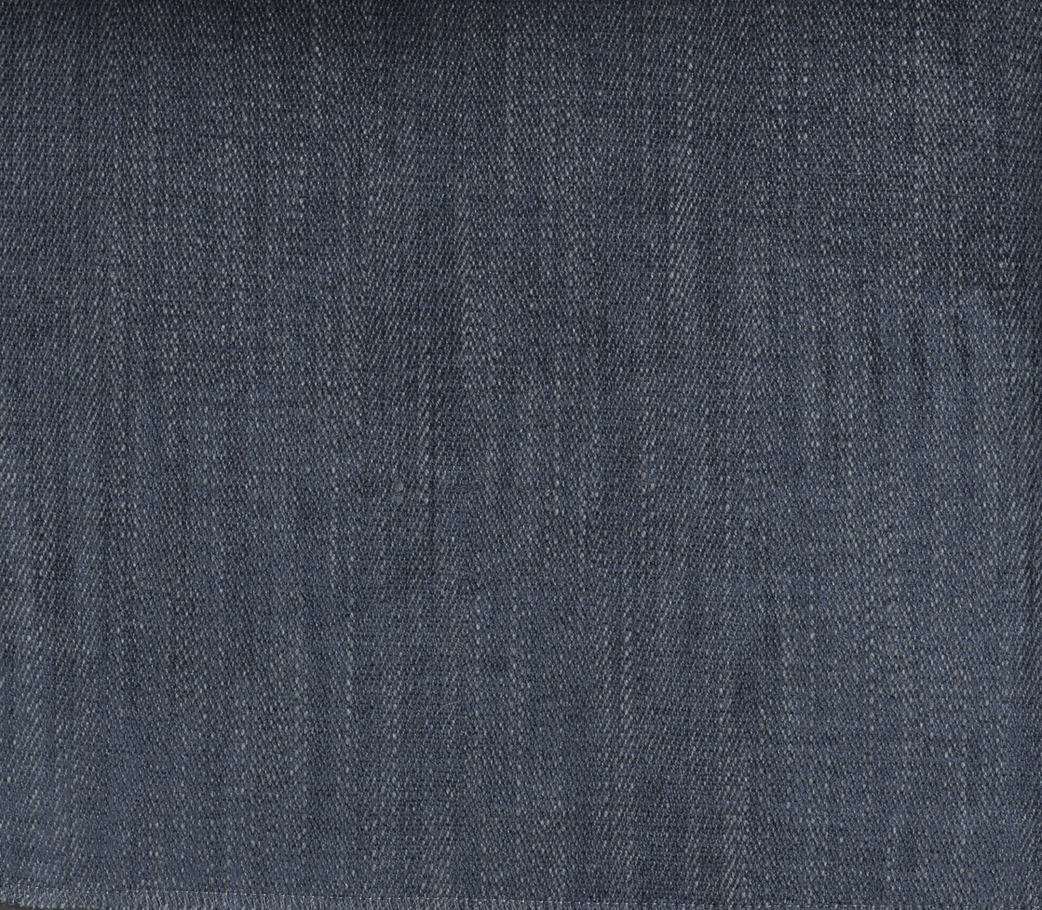 Herring - Image 4