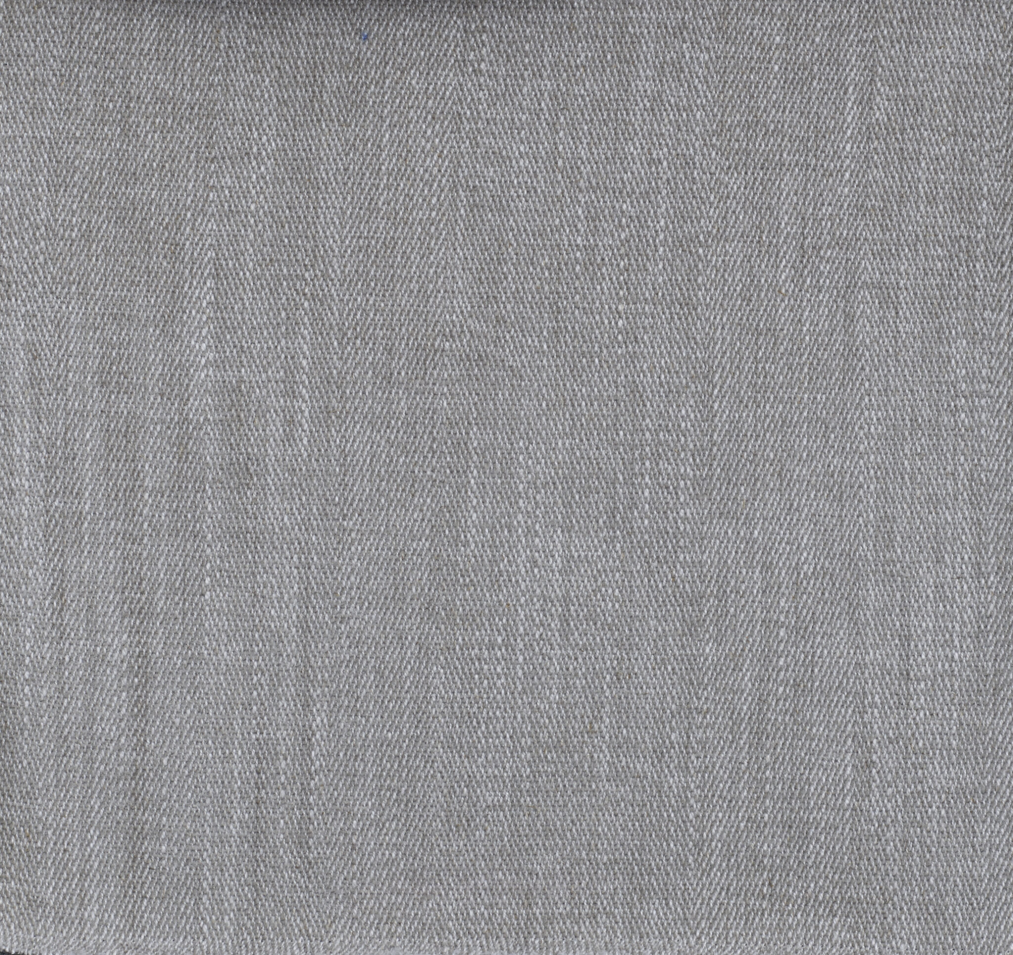 Herring - Image 5
