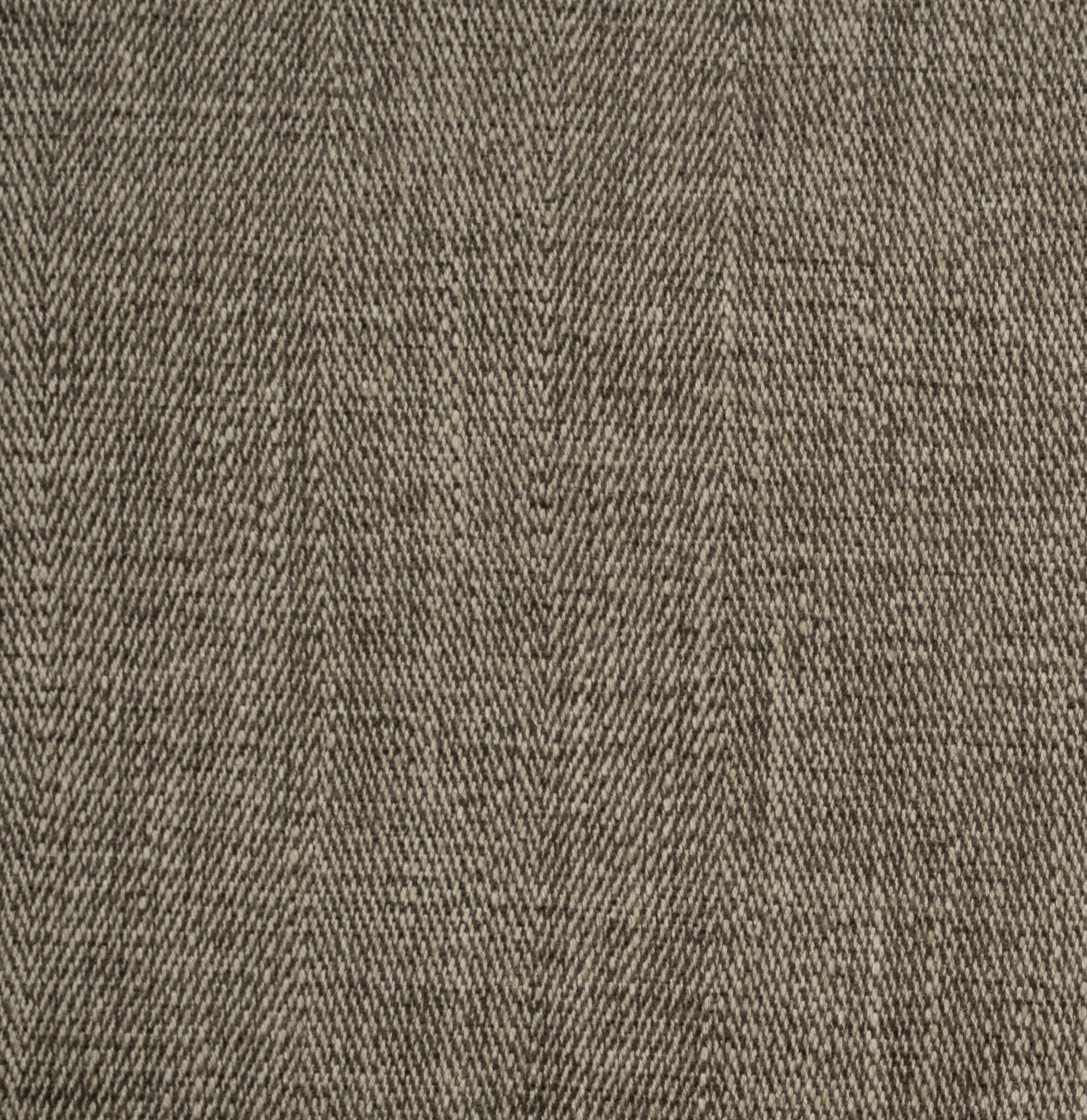 Herring - Image 7