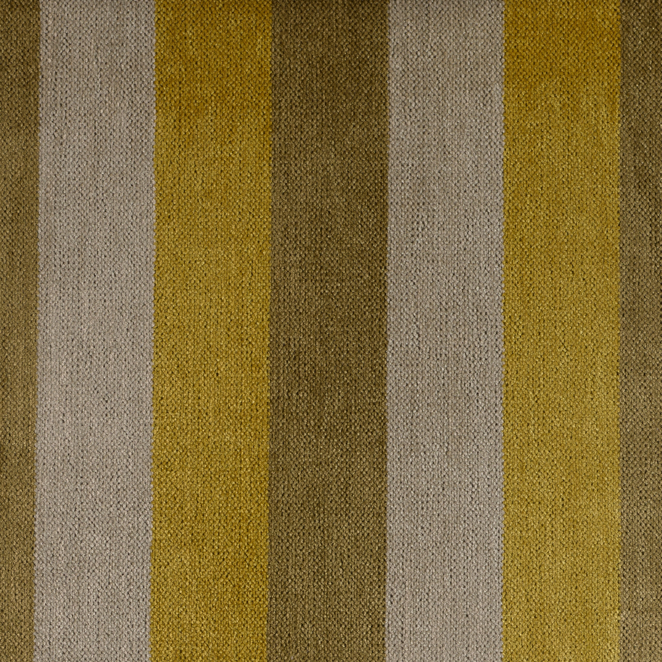 Lane - Image 7