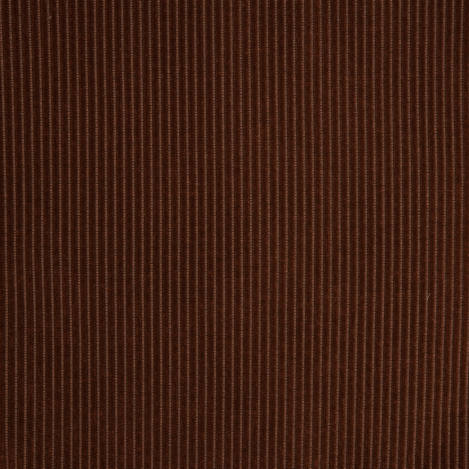 Munster - Image 1