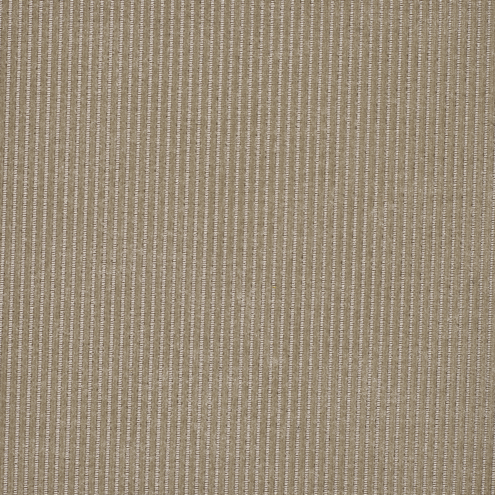 Munster - Image 4