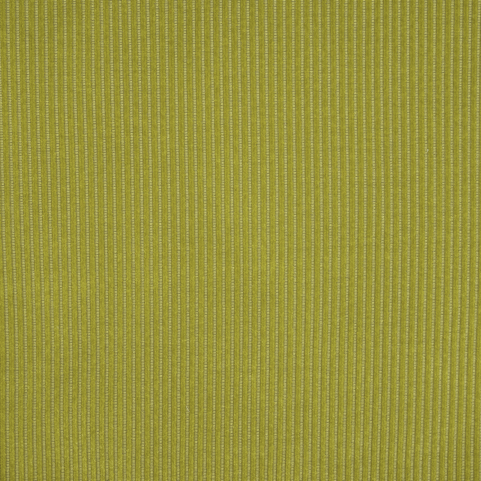 Munster - Image 5