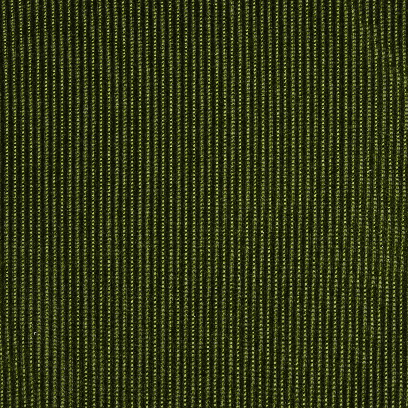 Munster - Image 6