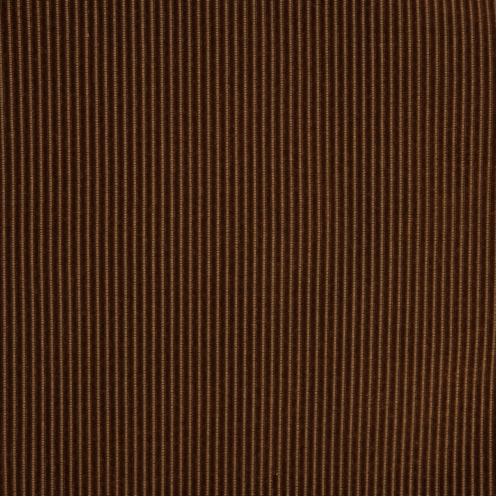 Munster - Image 8
