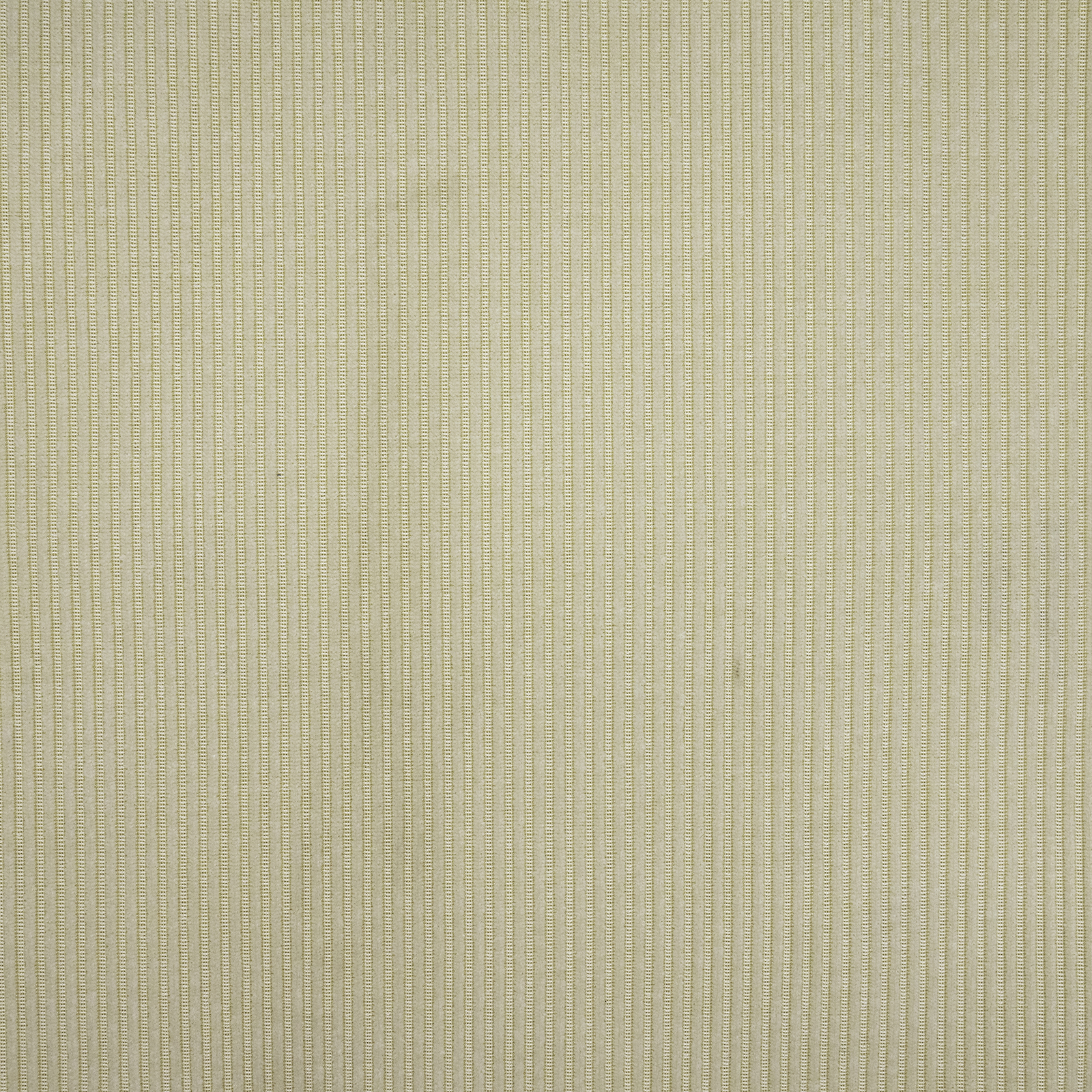 Munster - Image 11