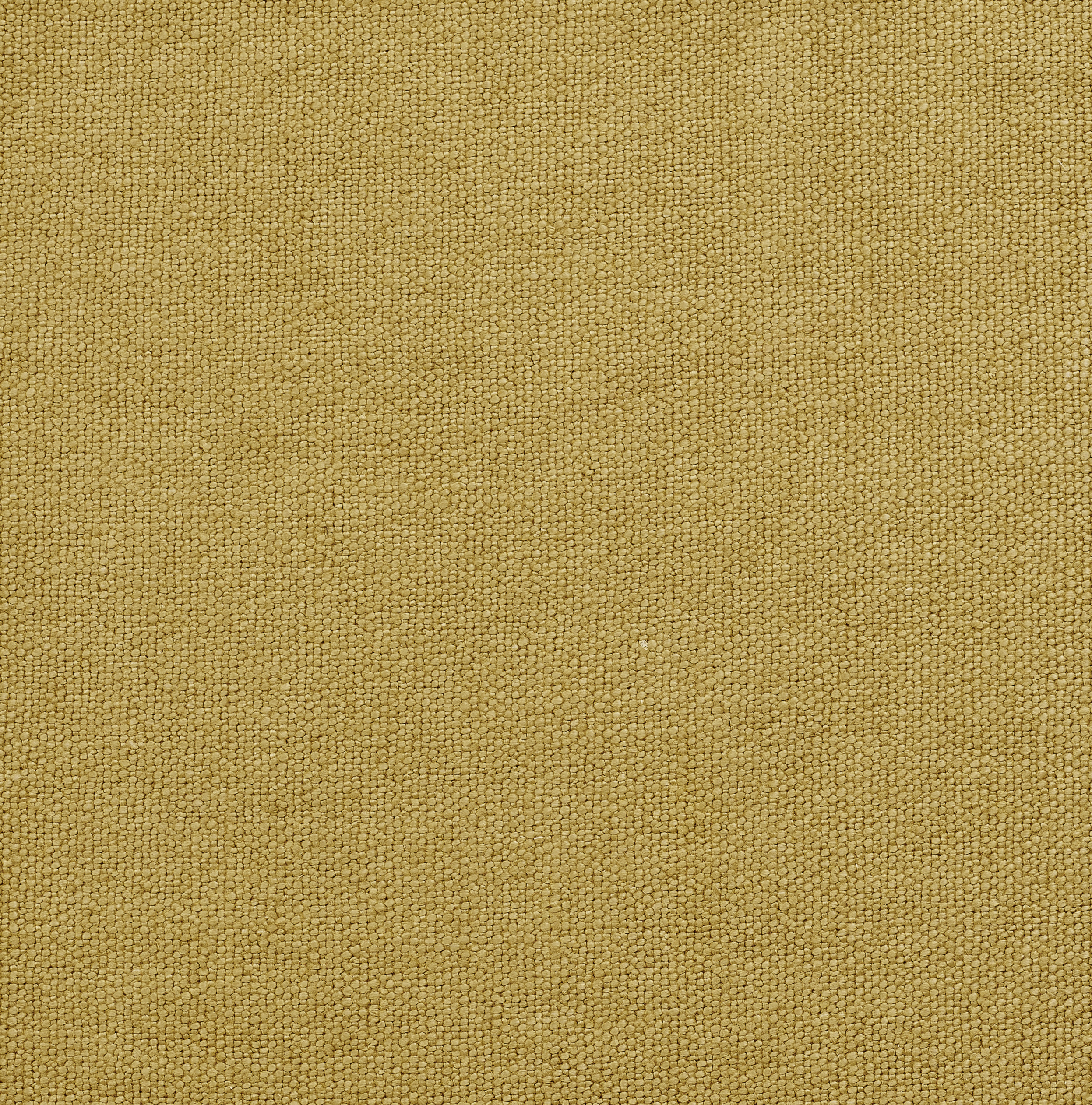 Nature - Image 2