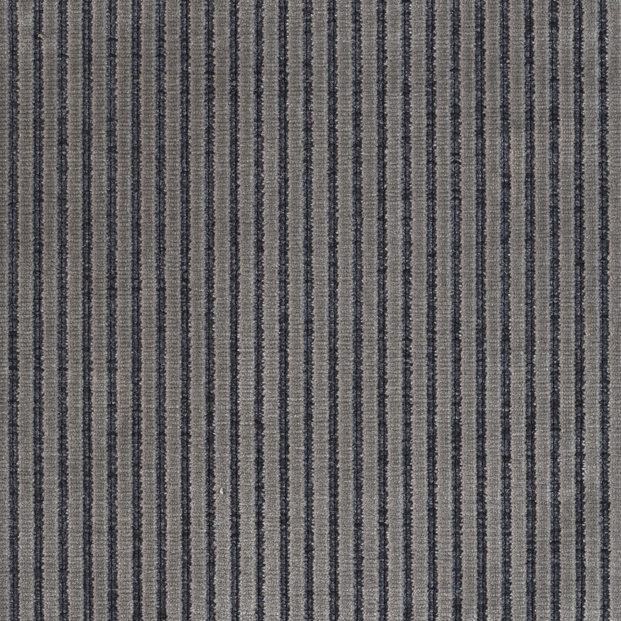 Roth - Image 2