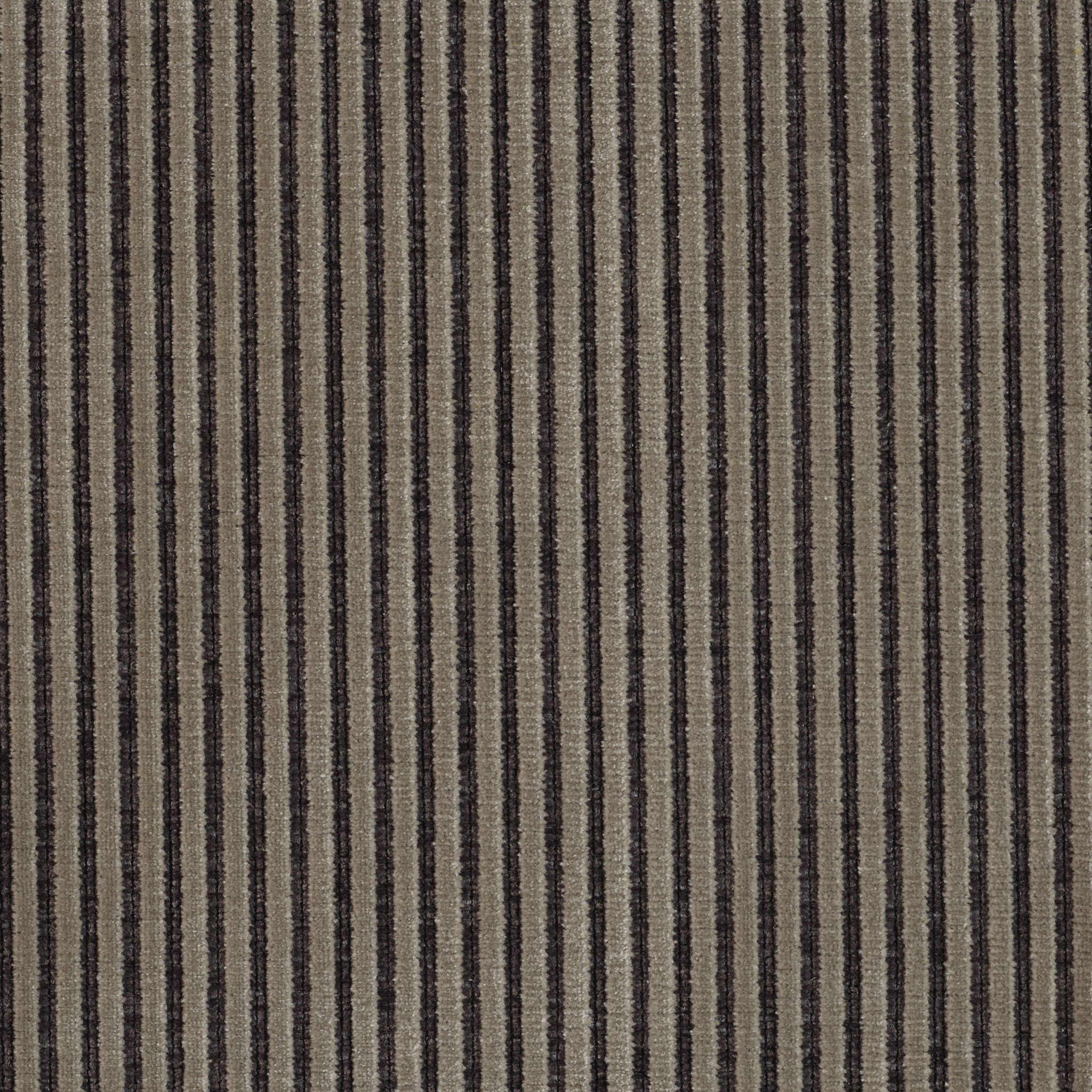 Roth - Image 3