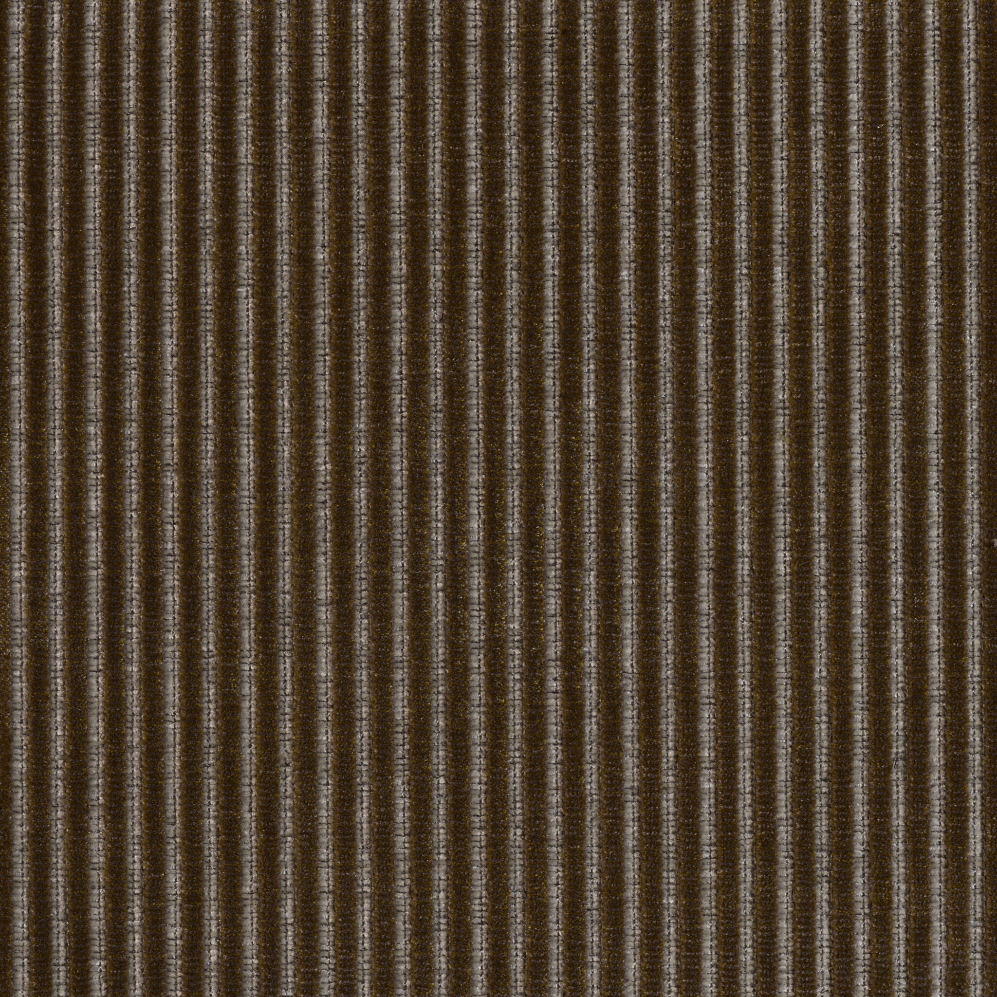 Roth - Image 4