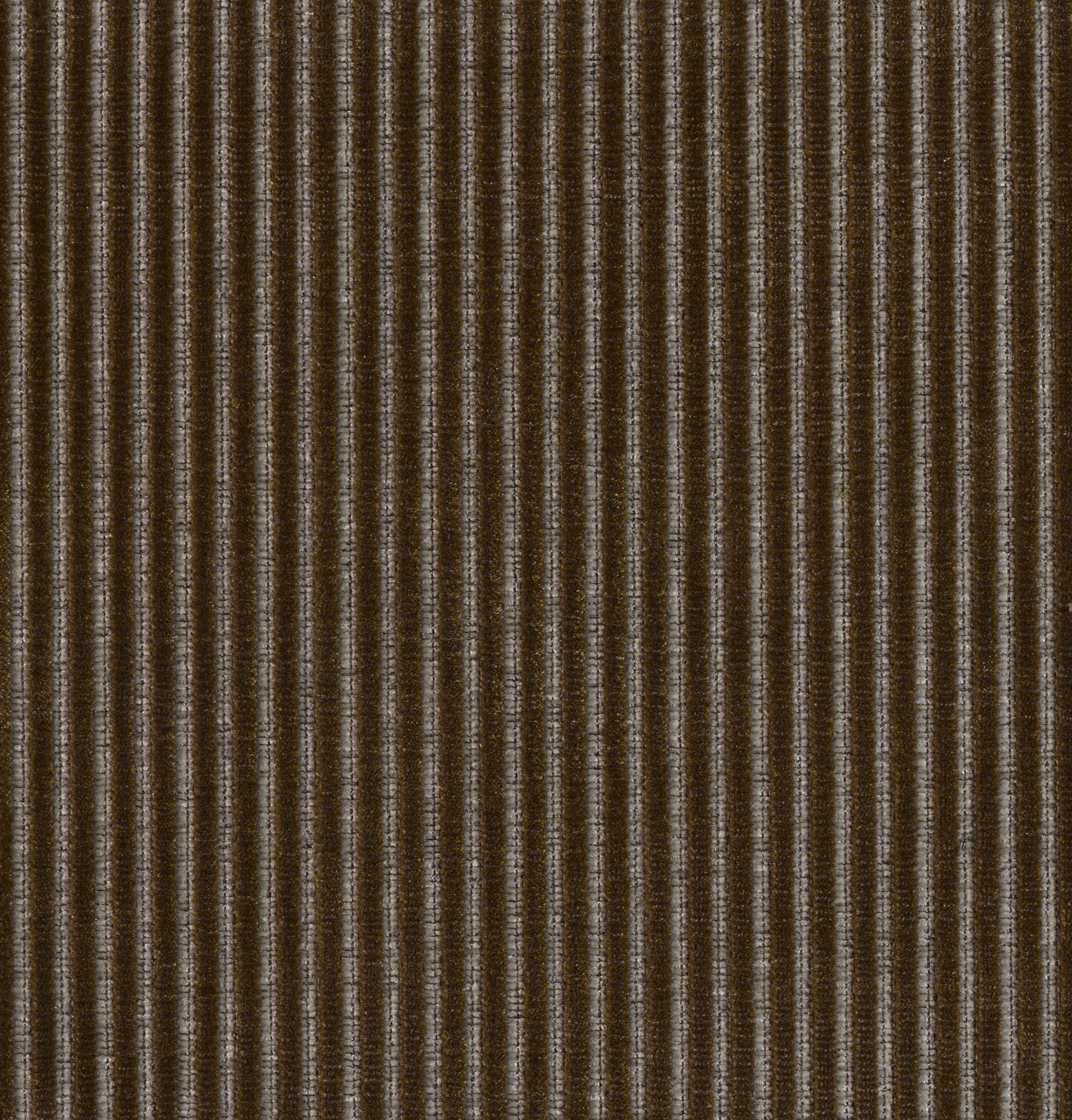 Roth - Image 4