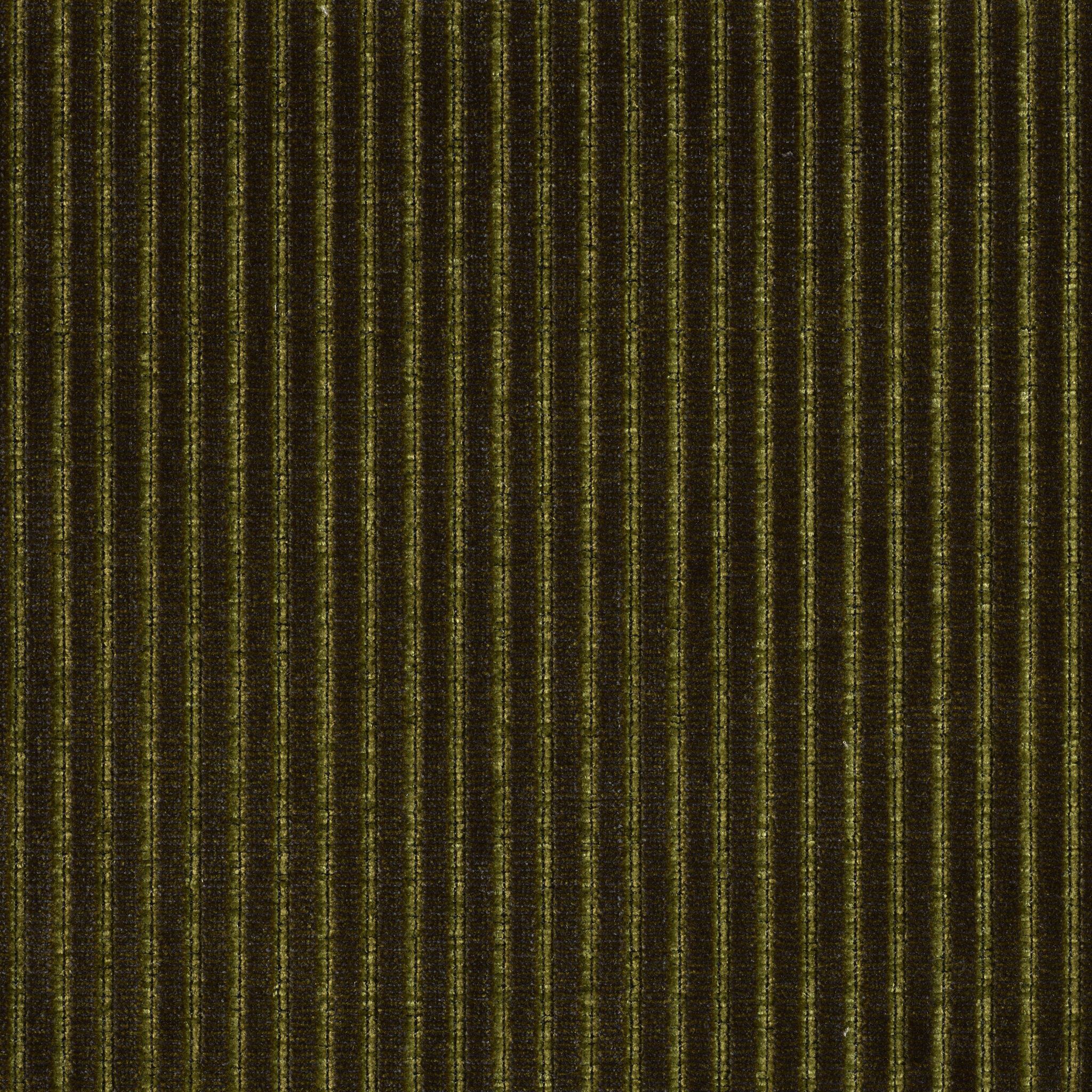 Roth - Image 5