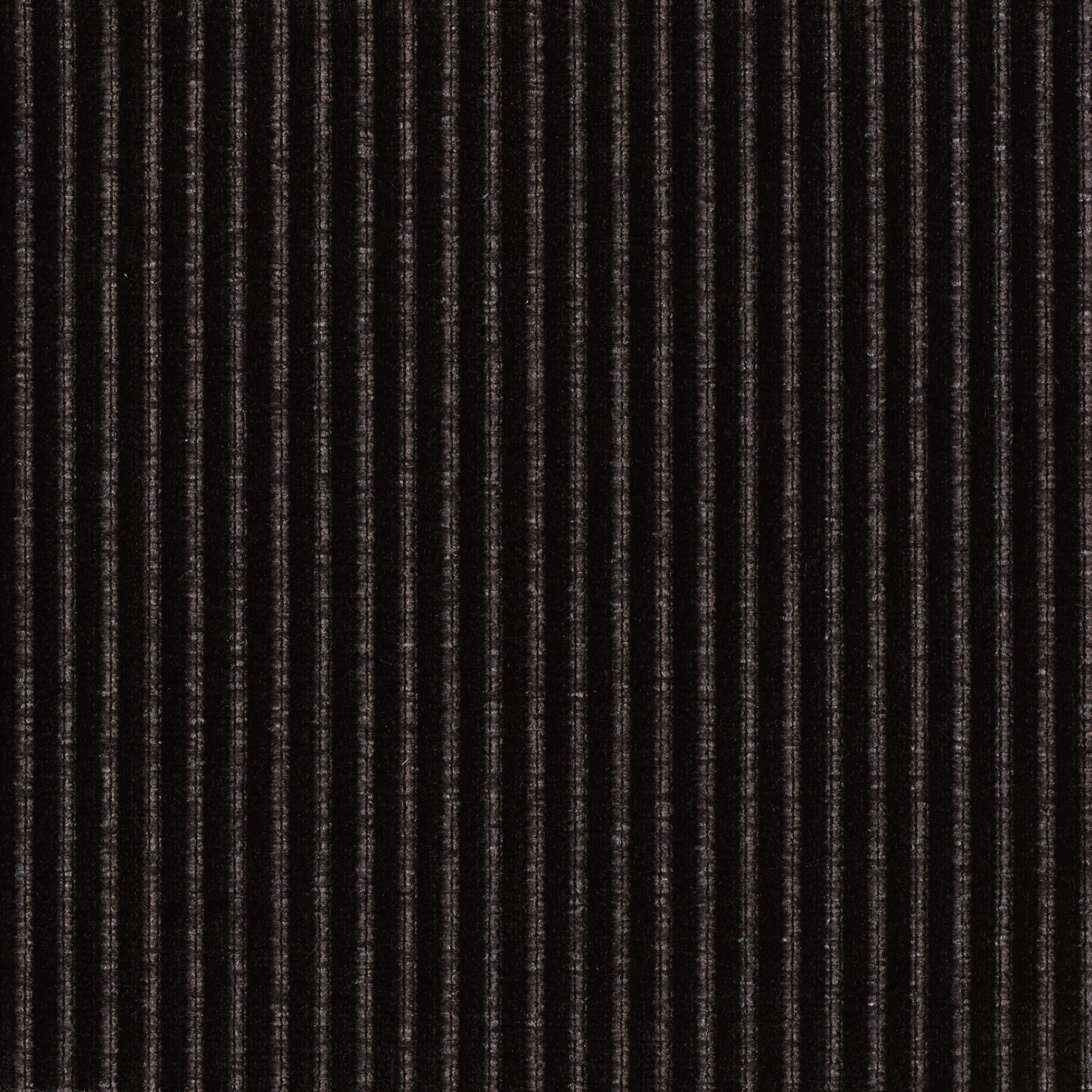 Roth - Image 6