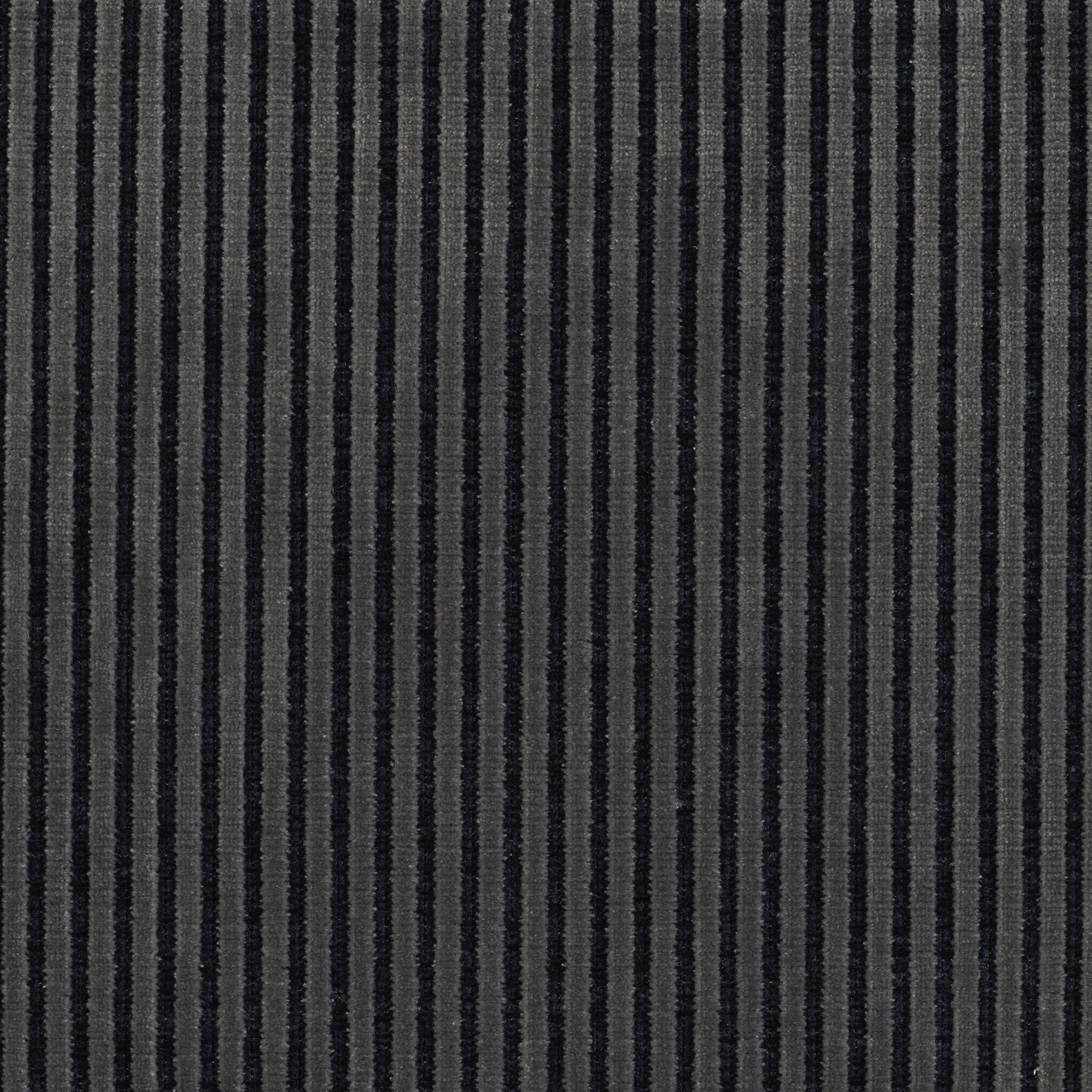 Roth - Image 8