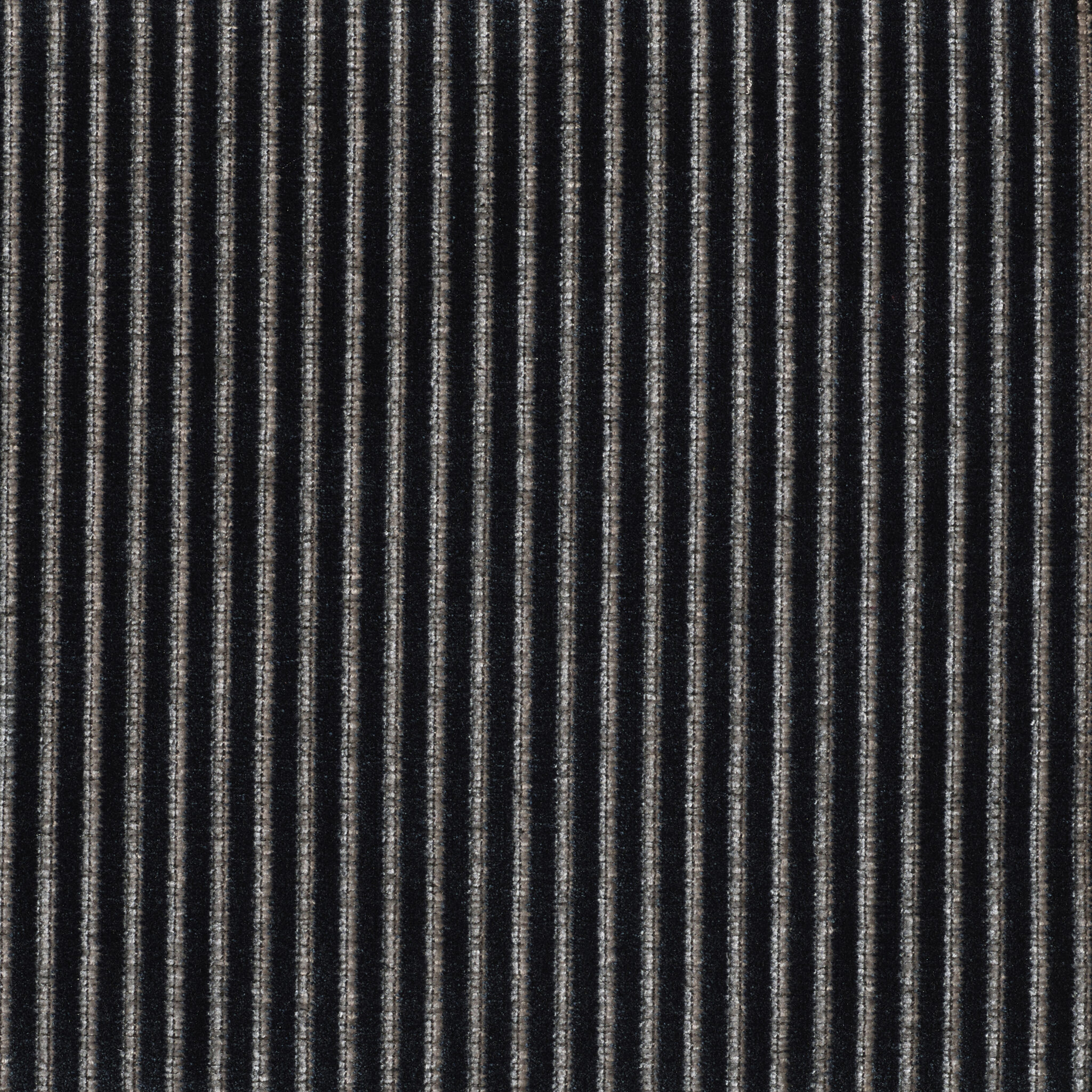 Roth - Image 11