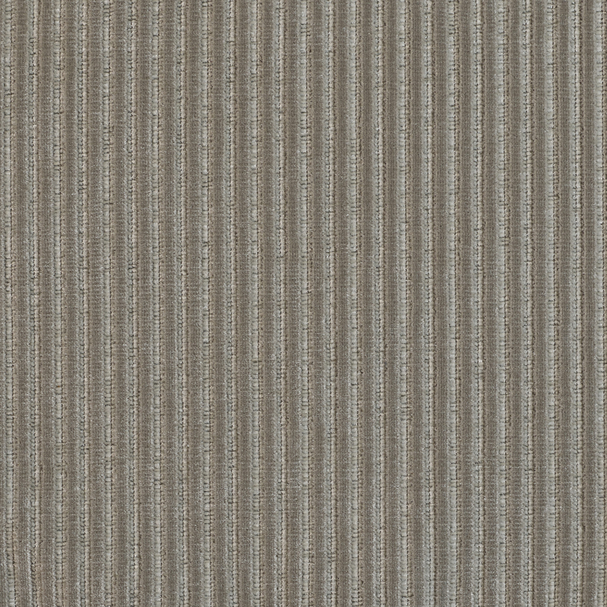 Roth - Image 12
