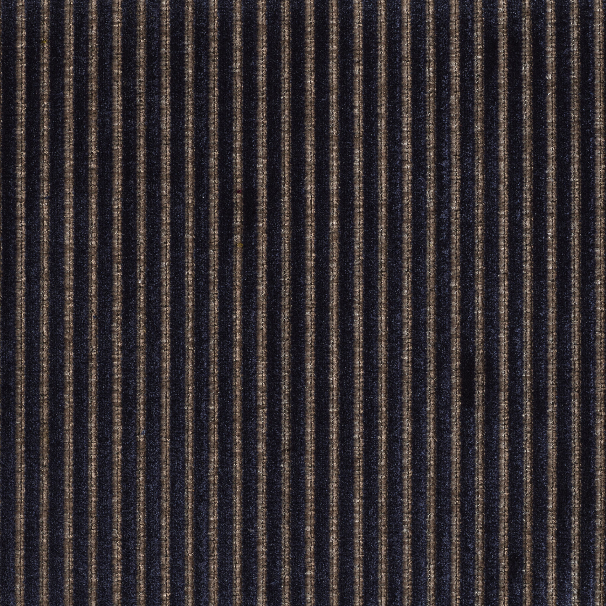 Roth - Image 13