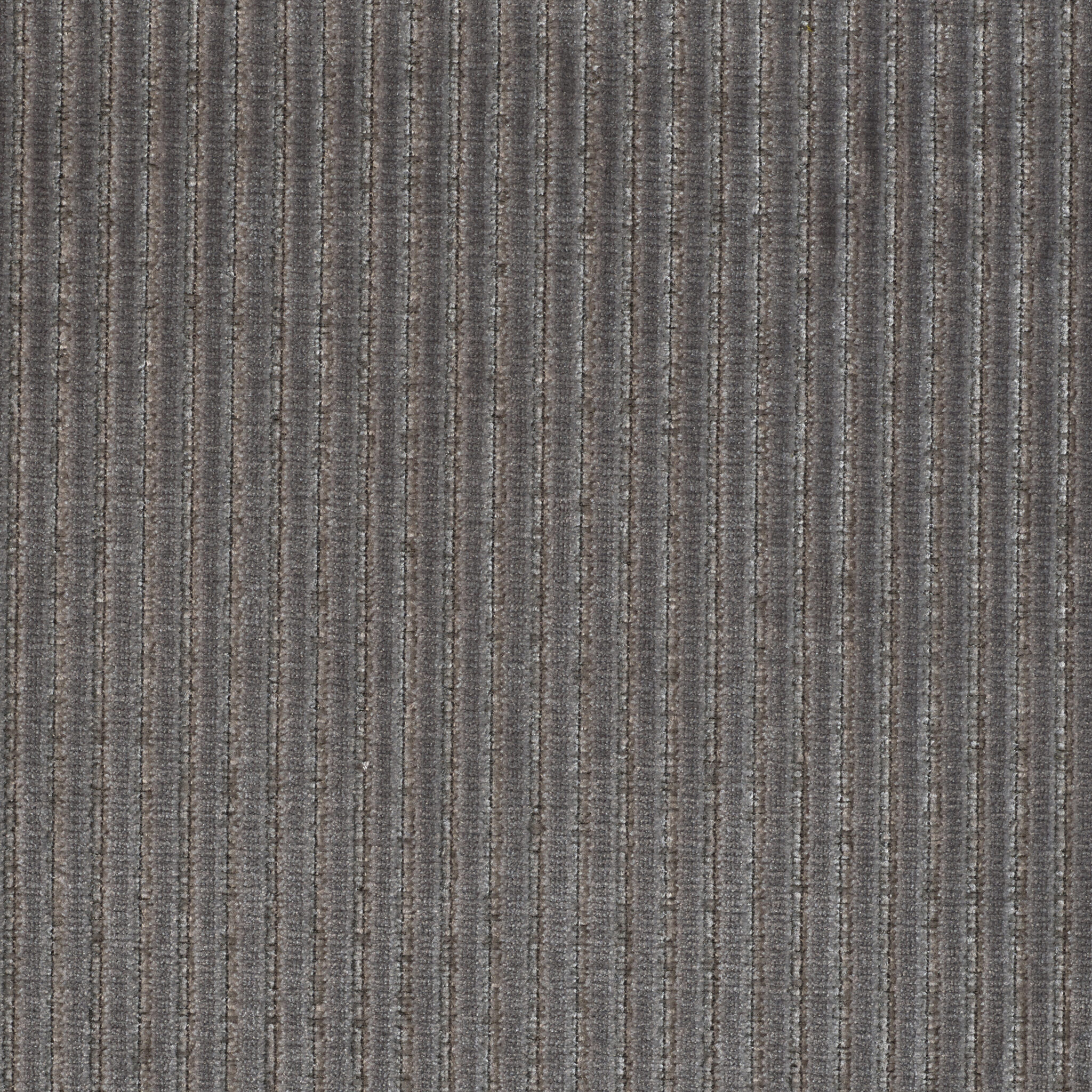 Roth - Image 14