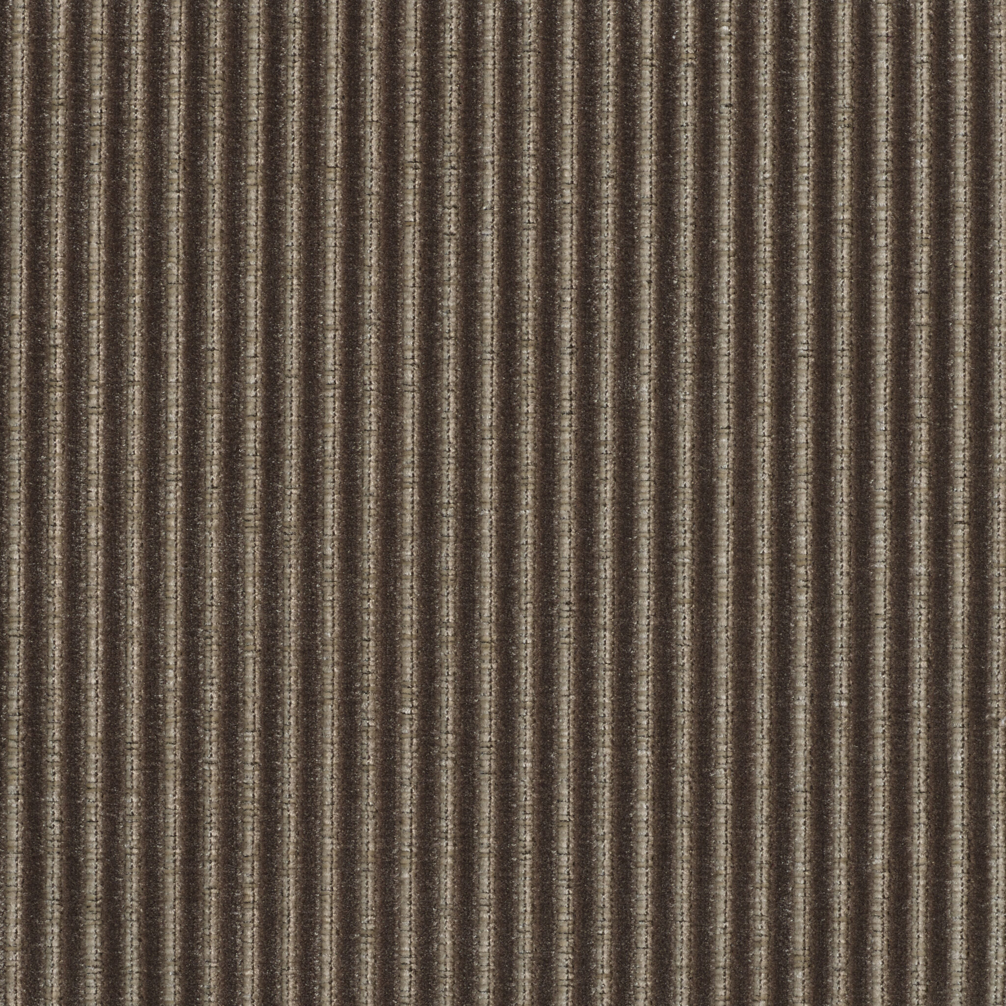 Roth - Image 15