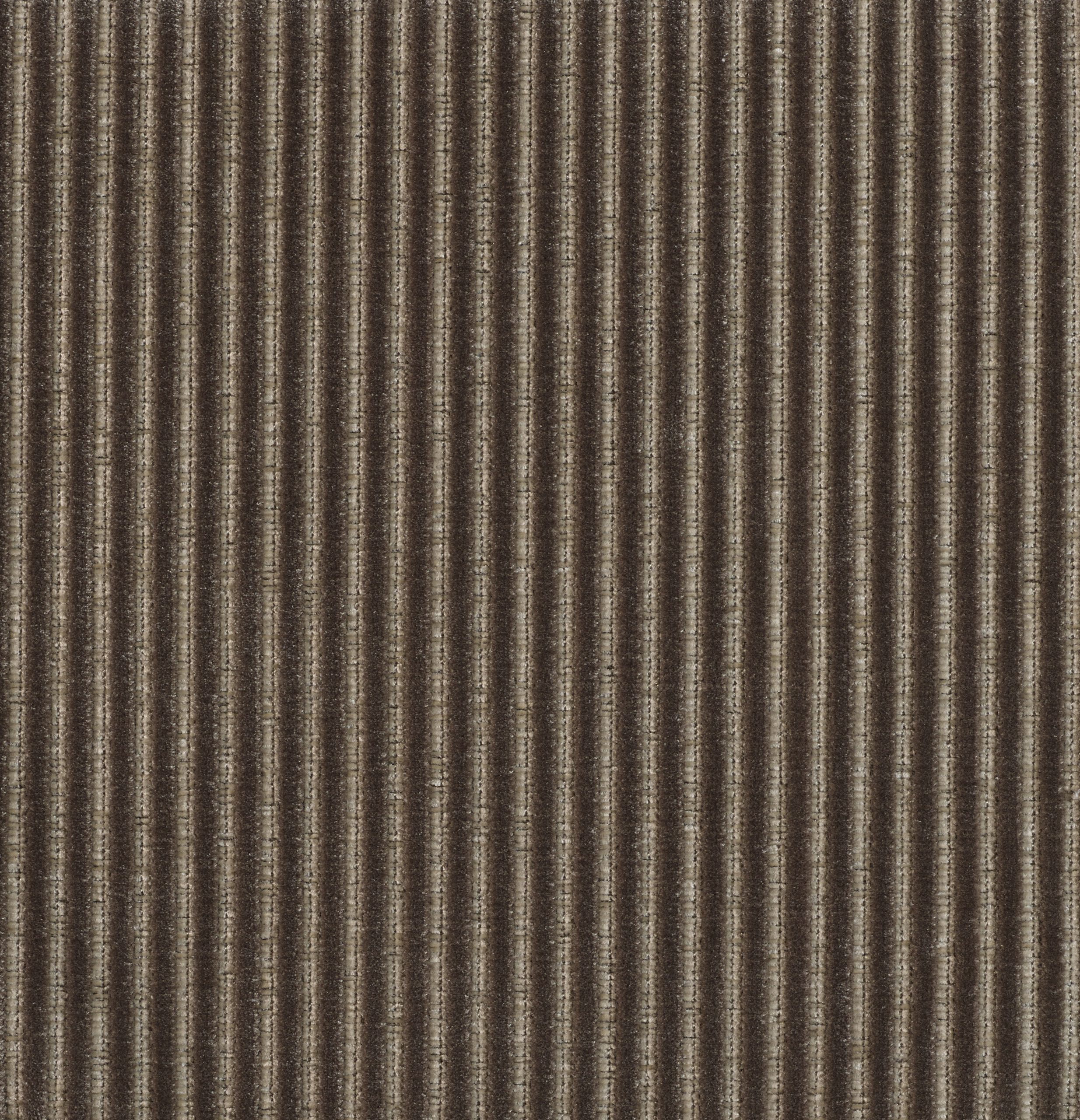 Roth - Image 15