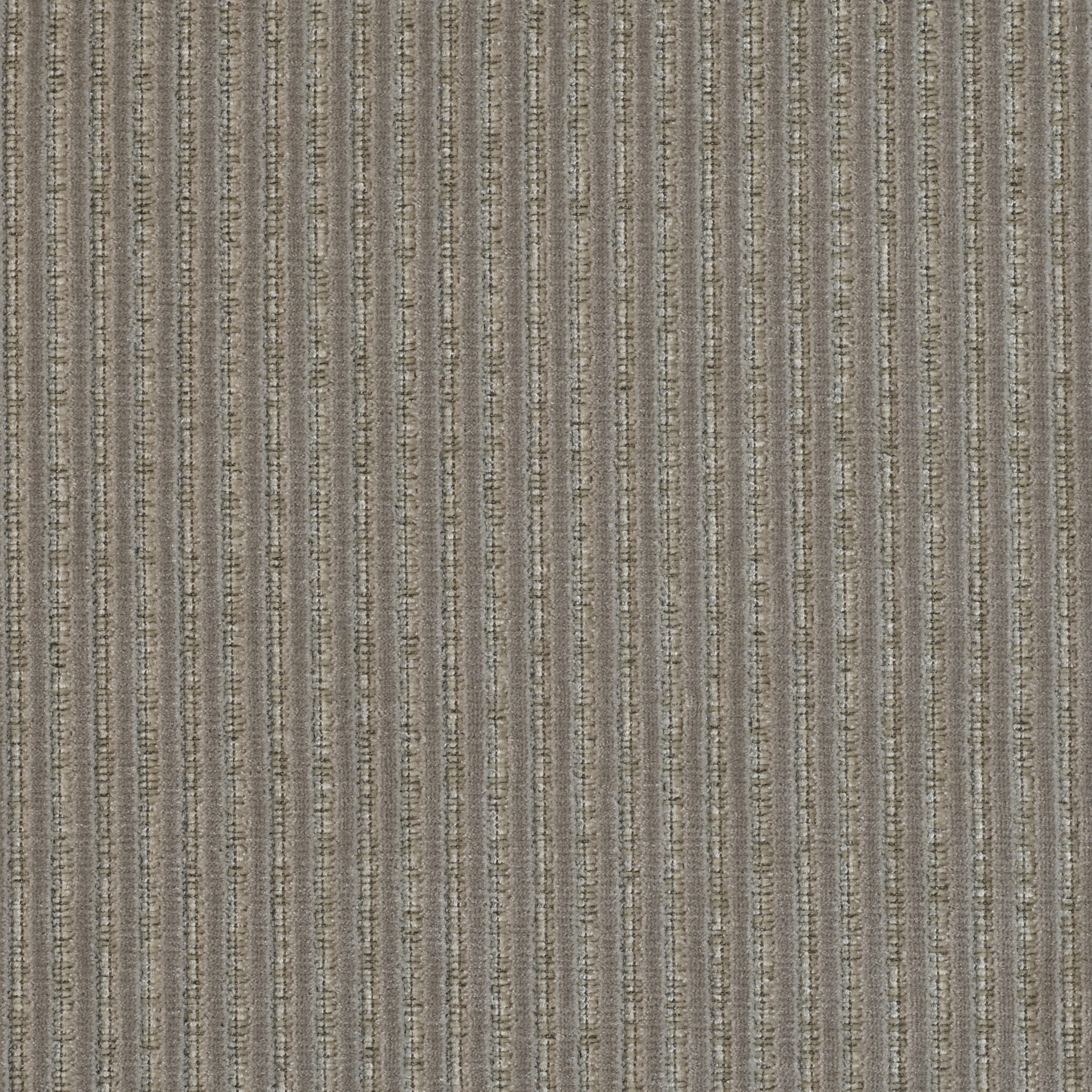 Roth - Image 16