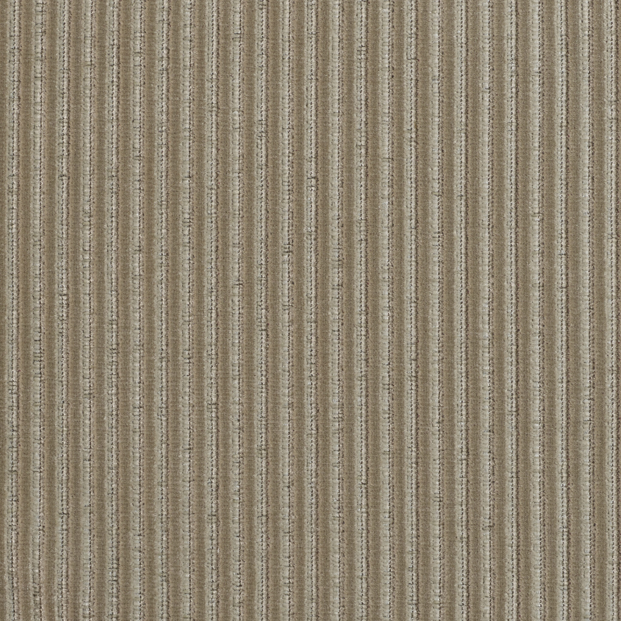 Roth - Image 17