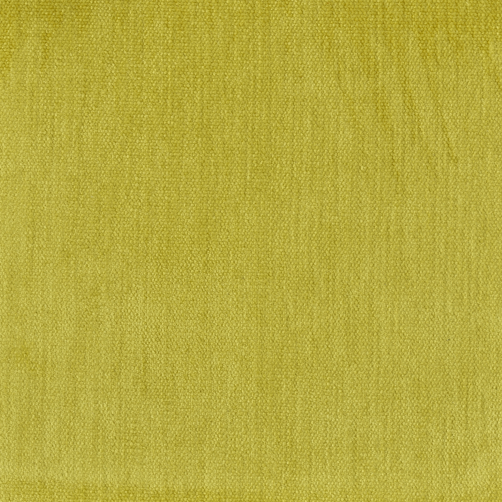 Soft - Image 4